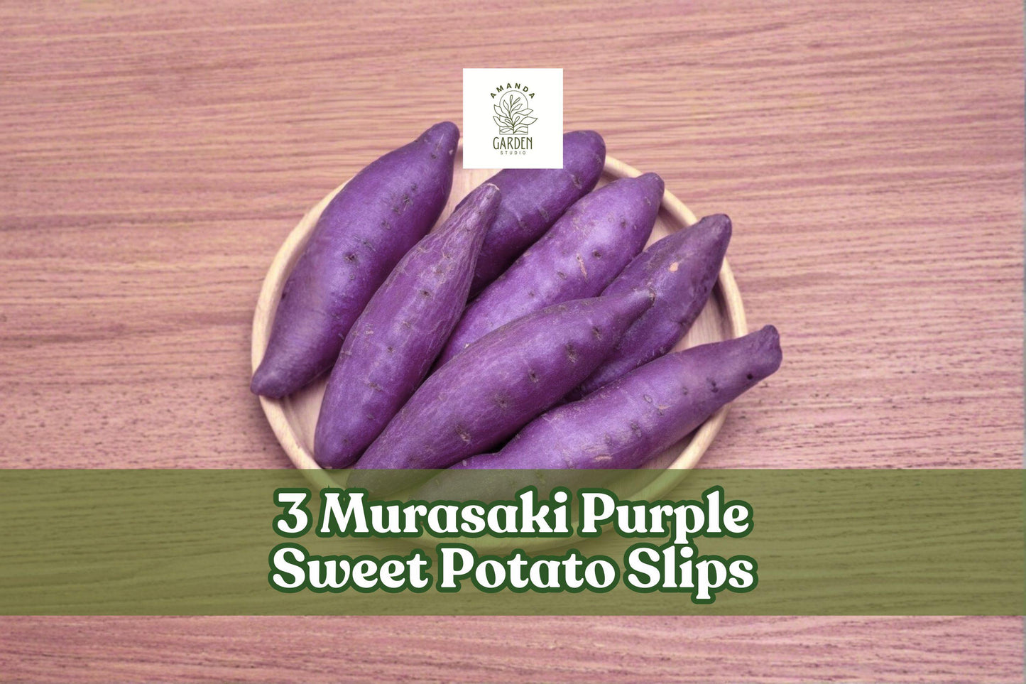 3 Murasaki Purple Sweet Potato Slips – Vegetable Plants, Trailing Vine, Ipomoea batatas