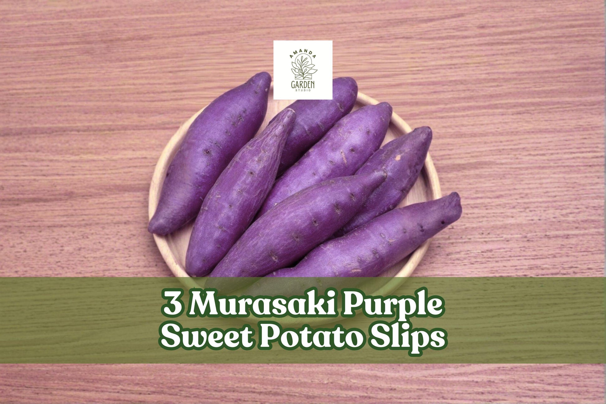 3 Murasaki Purple Sweet Potato Slips – Vegetable Plants, Trailing Vine, Ipomoea batatas