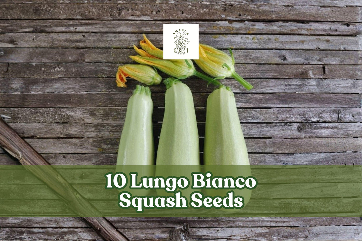 Lungo Bianco Squash Seeds – Summer Garden Vegetable – Pale Green, Smooth Skin, Cucurbita pepo