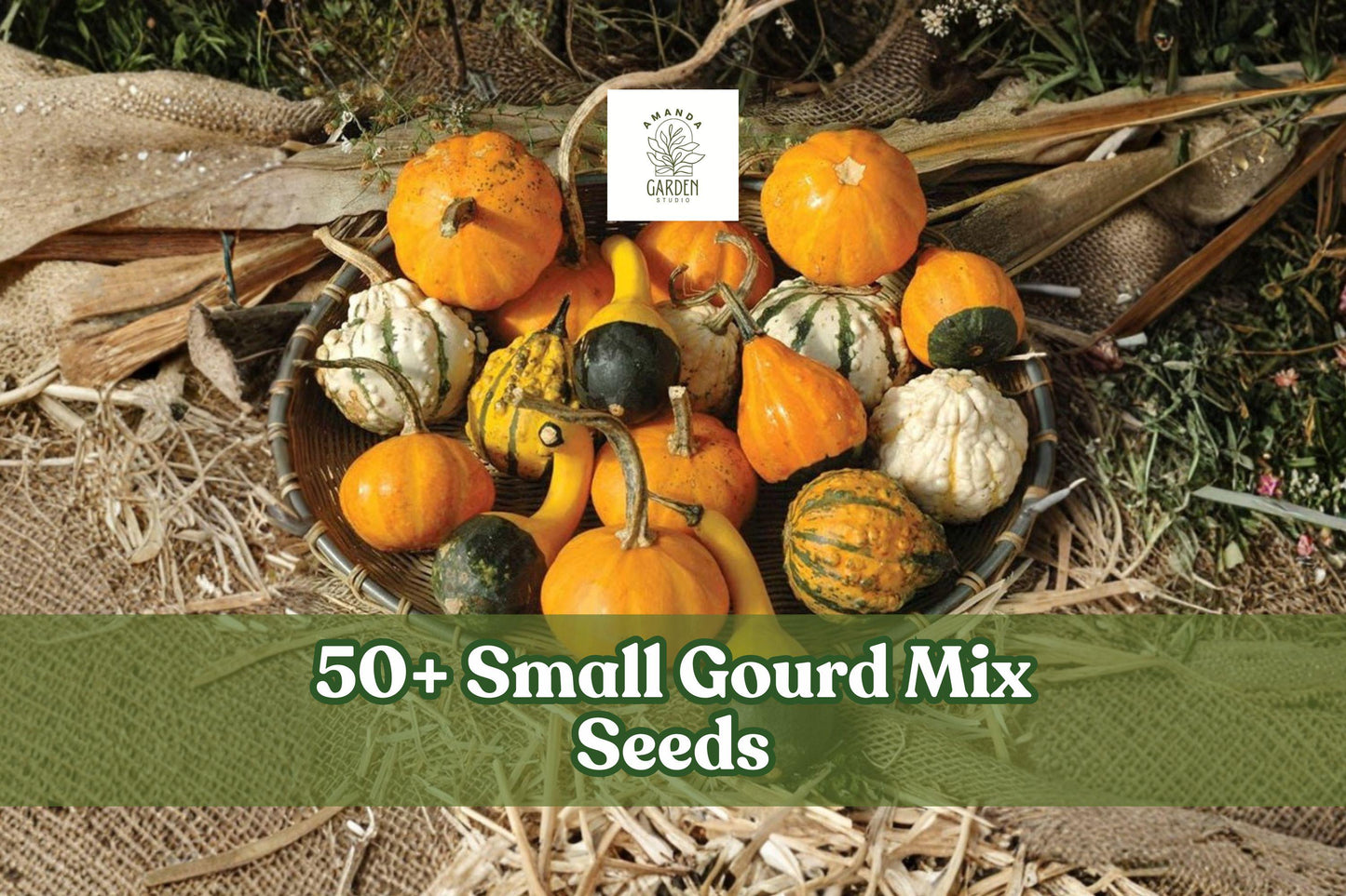 Small Gourd Seeds - Mix of Mini Ornamental Gourds for Fall Decor & Crafts - Cucurbita pepo & Lagenaria siceraria