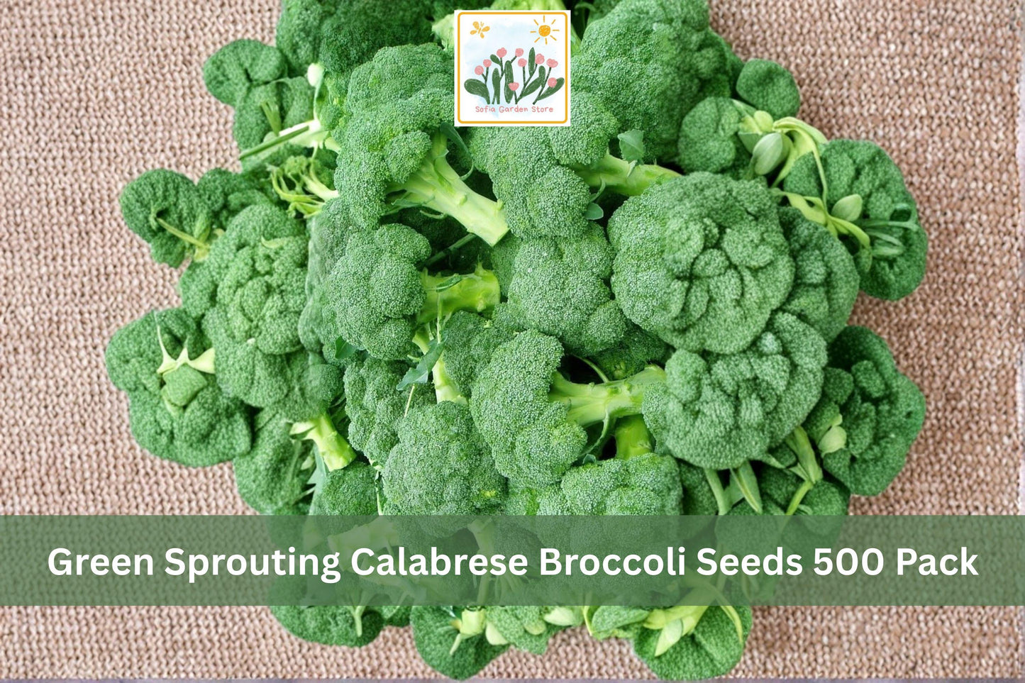 Green Sprouting Calabrese Broccoli Seeds 500 Pack – Brassica oleracea var. italica Vegetable Seeds for Garden, Raised Beds