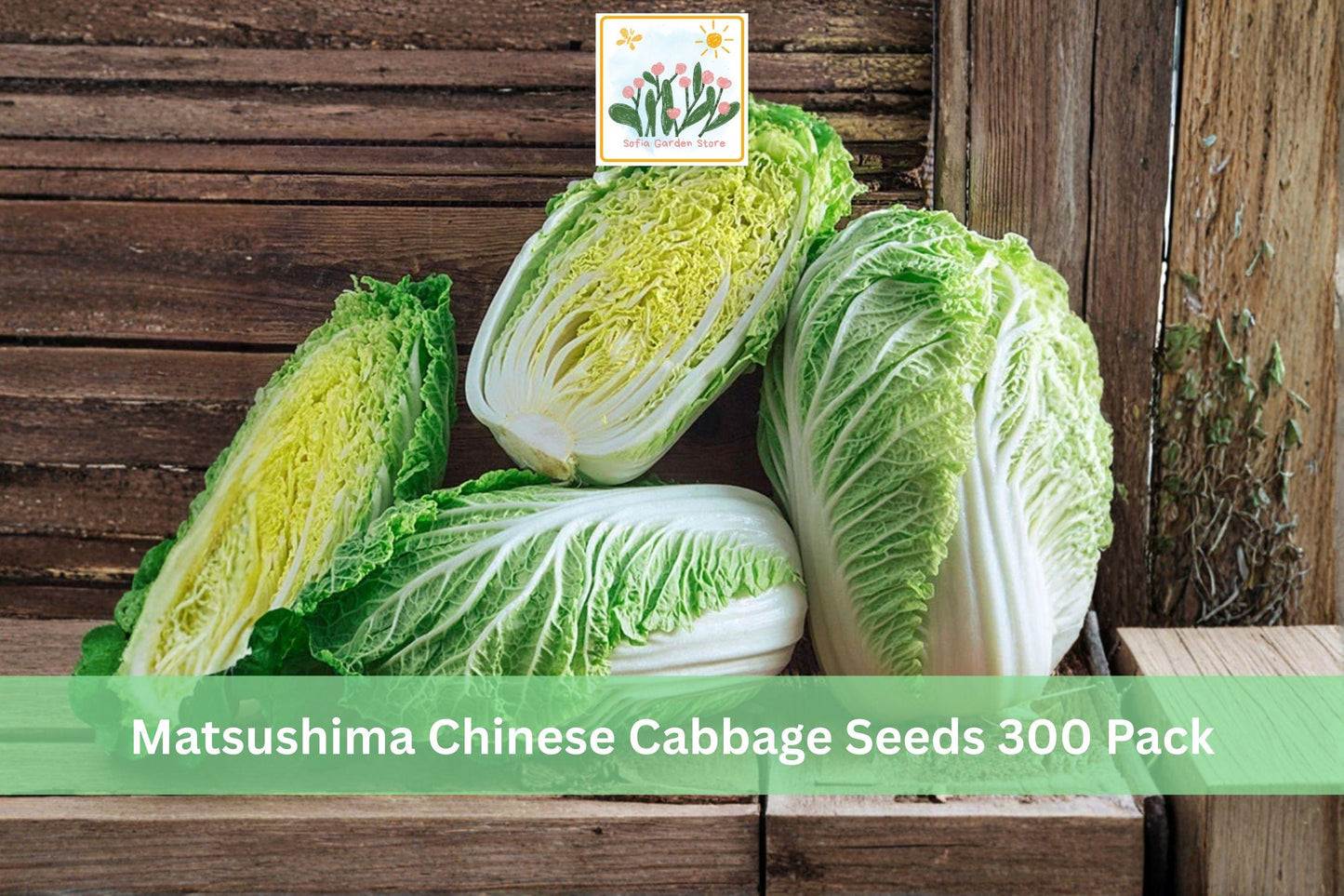 Matsushima Chinese Cabbage Seeds 300 Pack – Brassica rapa subsp. pekinensis, Napa Style, Cool Season Leafy Vegetable for Garden
