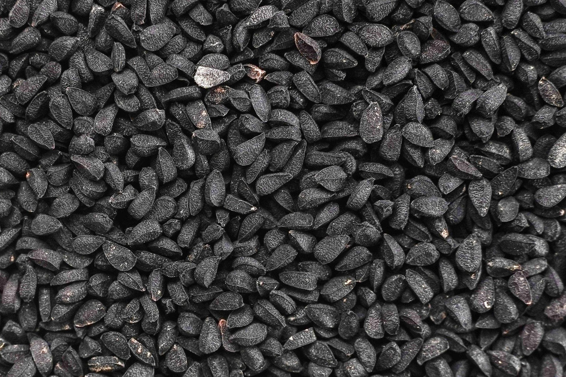 Black Cumin Seeds, Heirloom Nigella sativa, Culinary & Medicinal Herb, Blue Flowers, Non-GMO, Container-Friendly