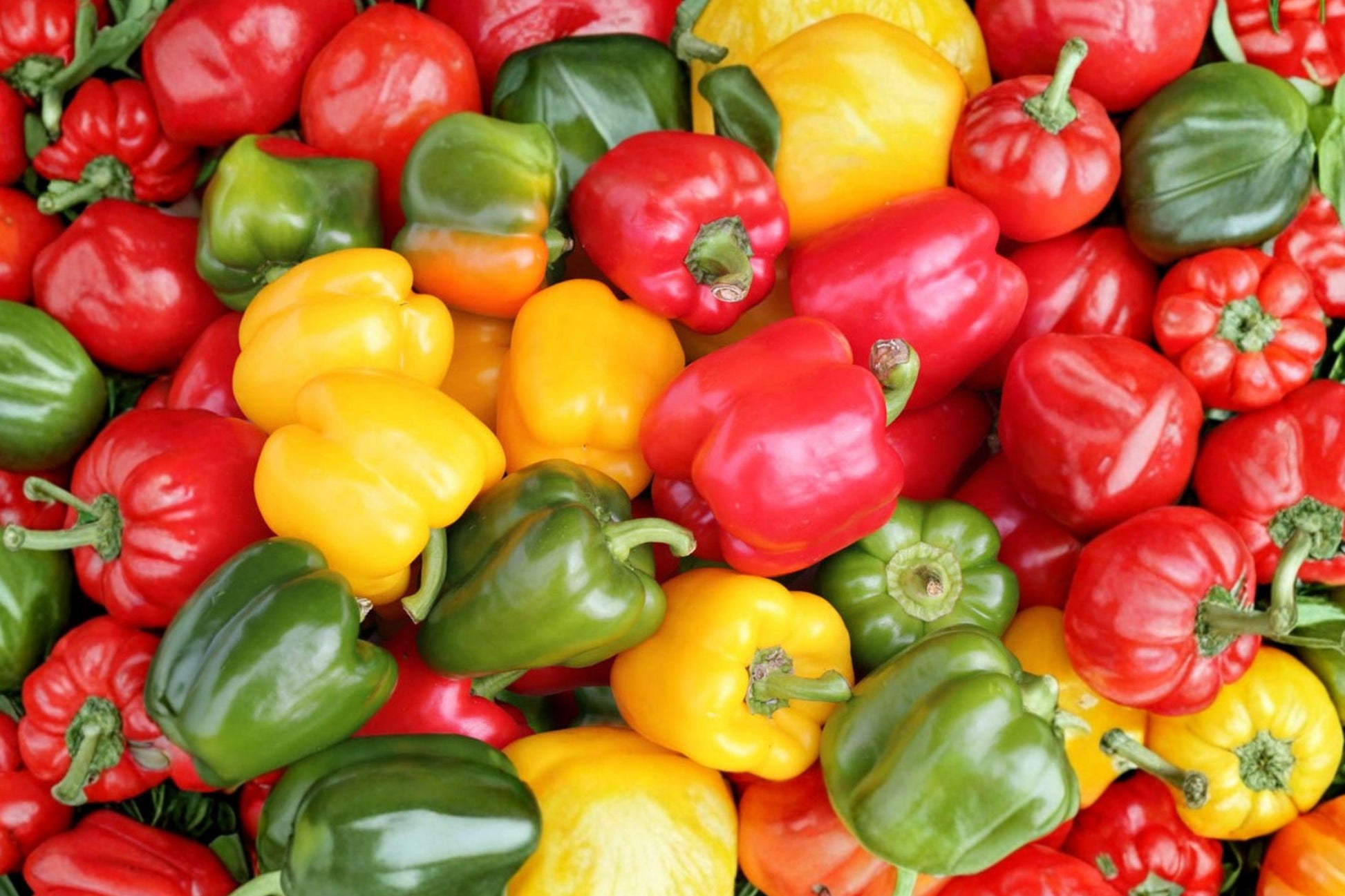 Heirloom Sweet & Spicy Pepper Seeds - Colorful Non-GMO Vegetable Garden Blend for Container & Raised Bed Growing