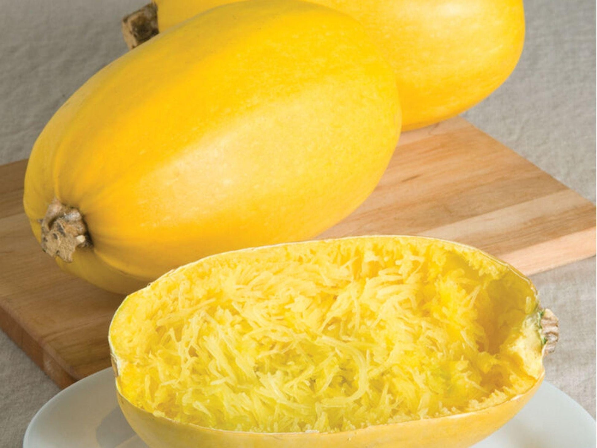 Spaghetti Squash Seeds – 10 Count, Winter Vegetable, Cucurbita pepo, Stringy Flesh, Roasting & Cooking