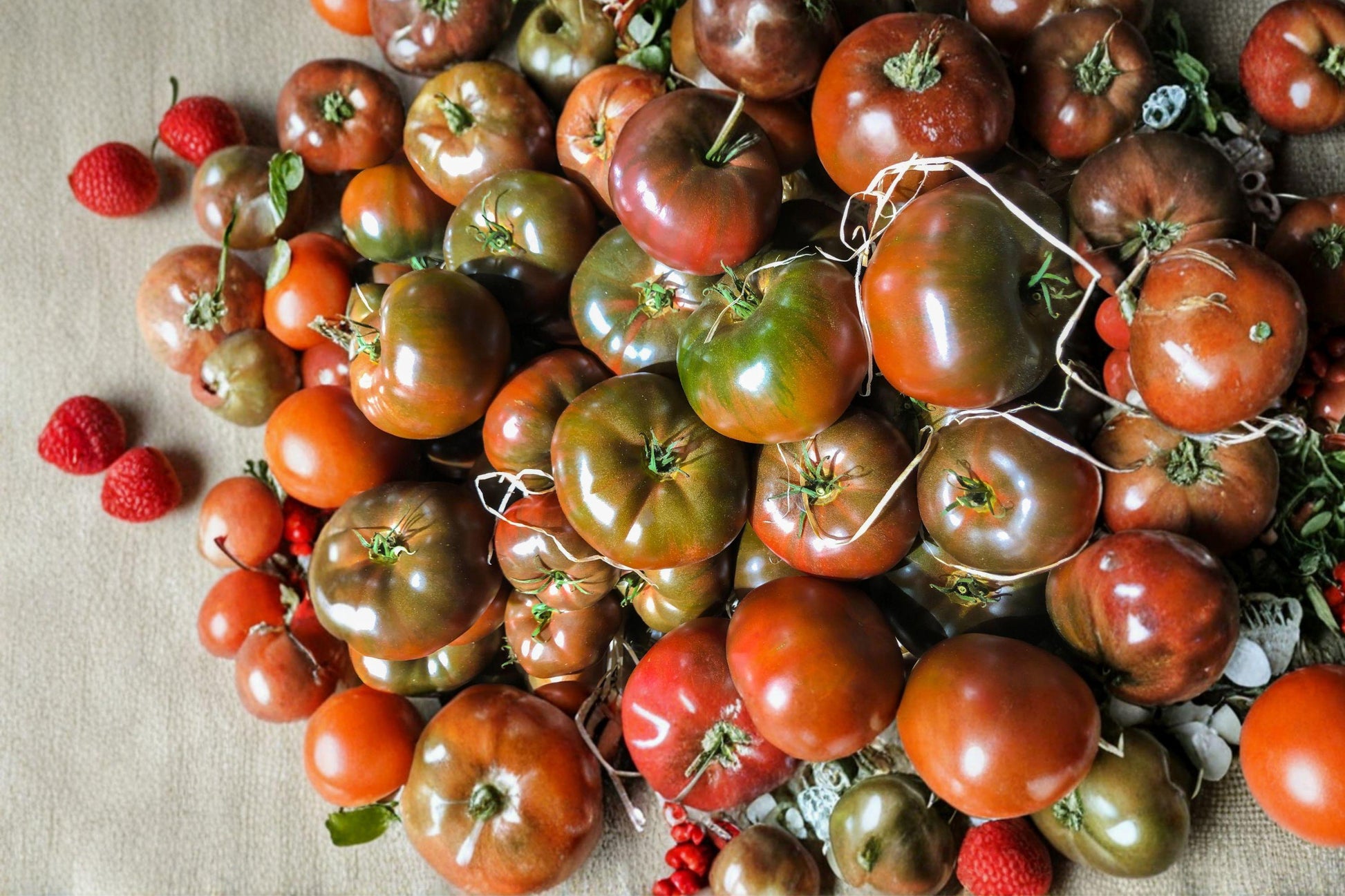 Black Krim Tomato Seeds - Heirloom Non-GMO Beefsteak Variety for Gourmet Flavor, Deep Purple Color, 120+ Seeds