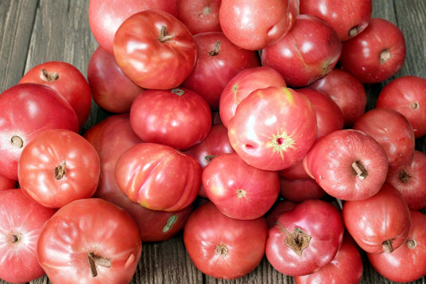German Johnson Heirloom Organic Pink Beefsteak Tomato Seeds – Indeterminate, Non-GMO, Large Fruit, Garden, Container Planting