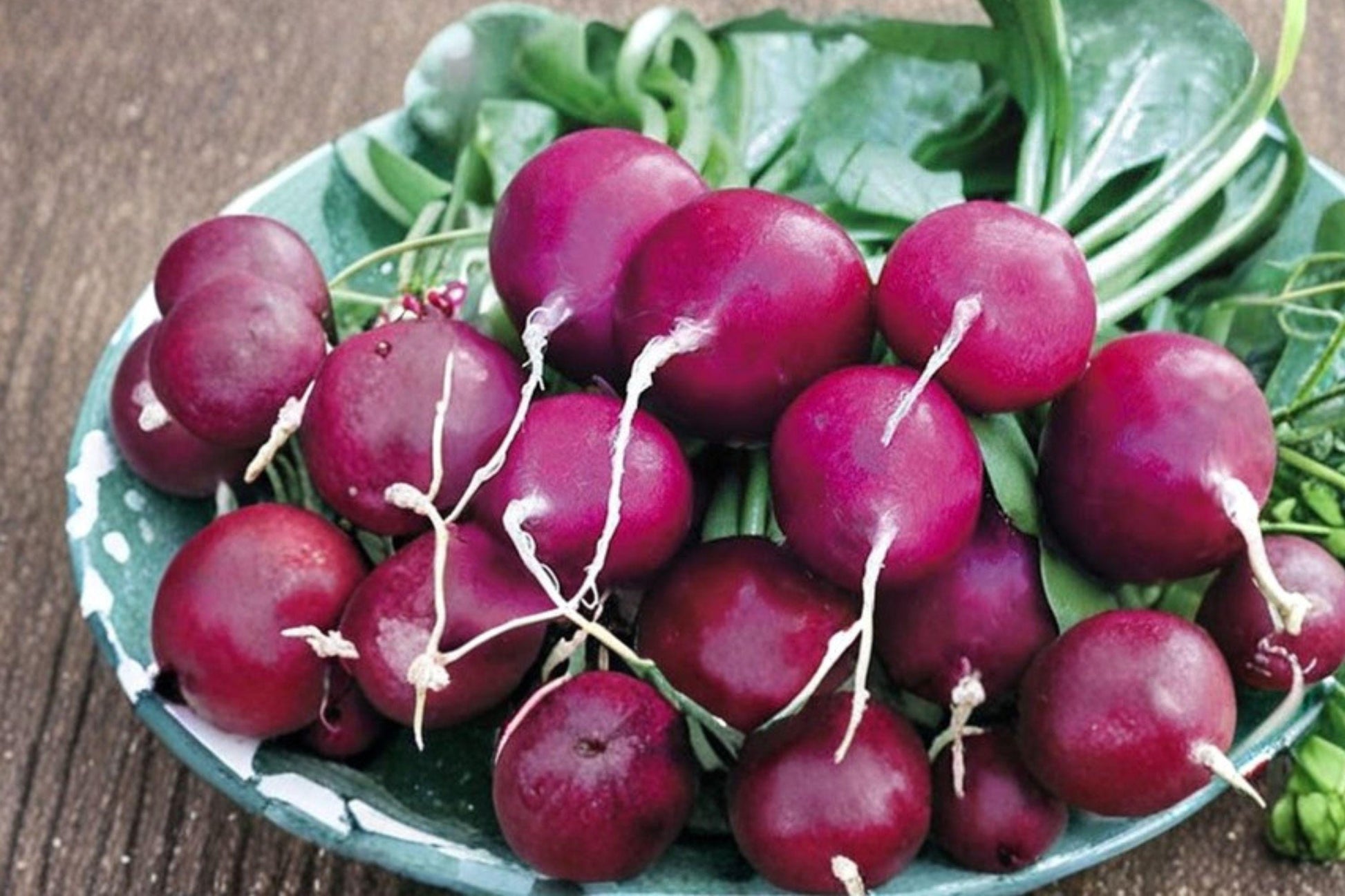 Purple Plum Radish Seeds – Heirloom, Non-GMO, Fast Growing, Mild Sweet Root Vegetable, Garden, Container, Salad, 300+ Seeds