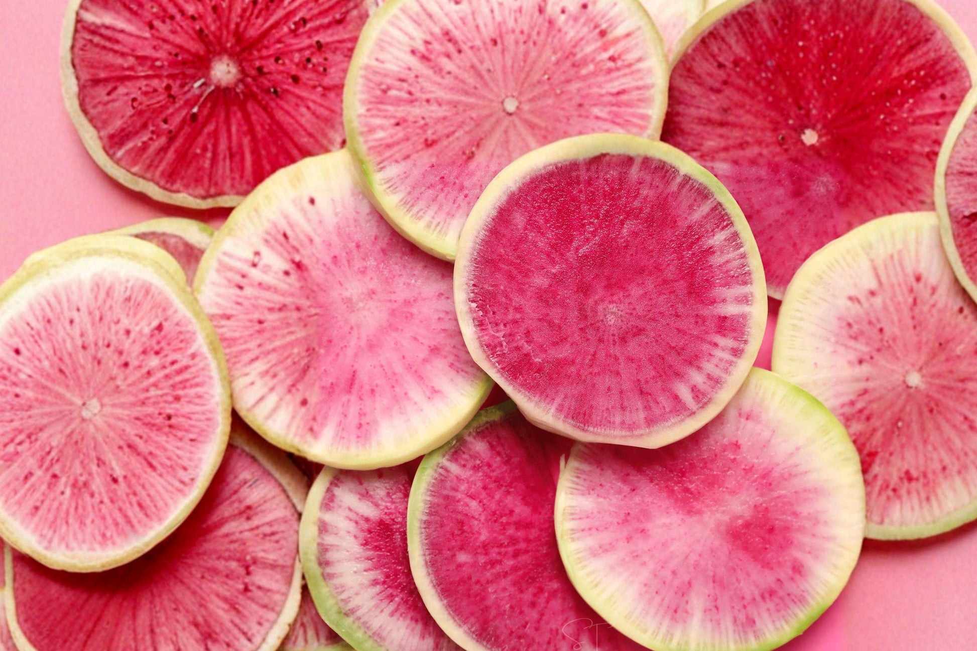 Watermelon Radish Seeds – Heirloom Non-GMO Pink and Green Root Vegetable, 300+ Seeds, Cool-Season Crop