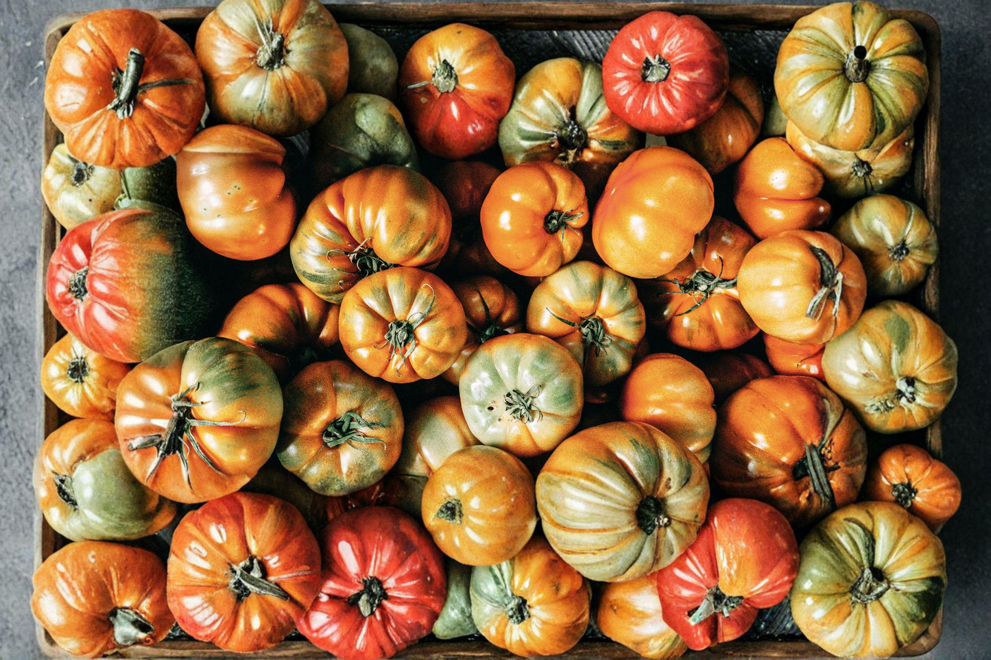 Heirloom Hillbilly Tomato Seeds | Large Bicolor Beefsteak, Sweet Mild Flavor, High Yield | Non-GMO, Indeterminate, 30+ Seeds