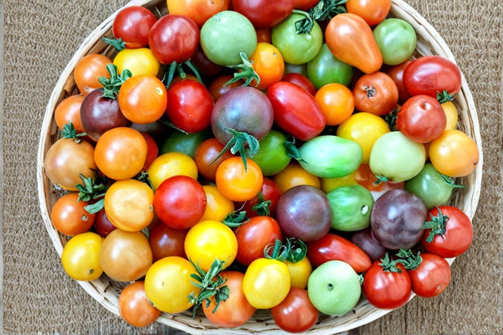 Rainbow Cherry Tomato Seeds – Heirloom Non-GMO Mix for High Yield, Small Sweet Fruit, Indeterminate, 30+ Seeds