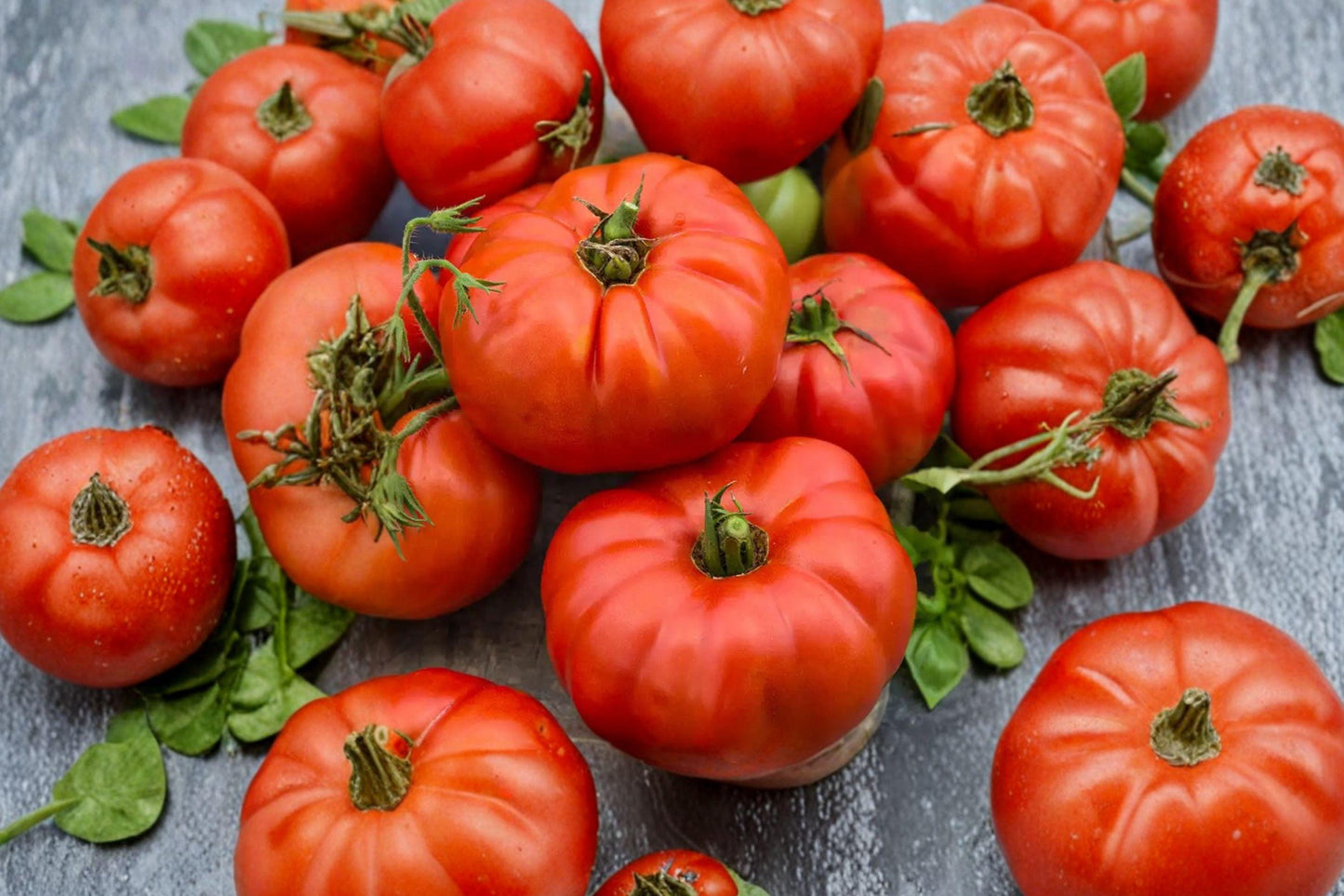 Heirloom Beefsteak Tomato Seeds – Large Juicy Red Slicing Fruit, Indeterminate, Non-GMO, 30+ Seeds