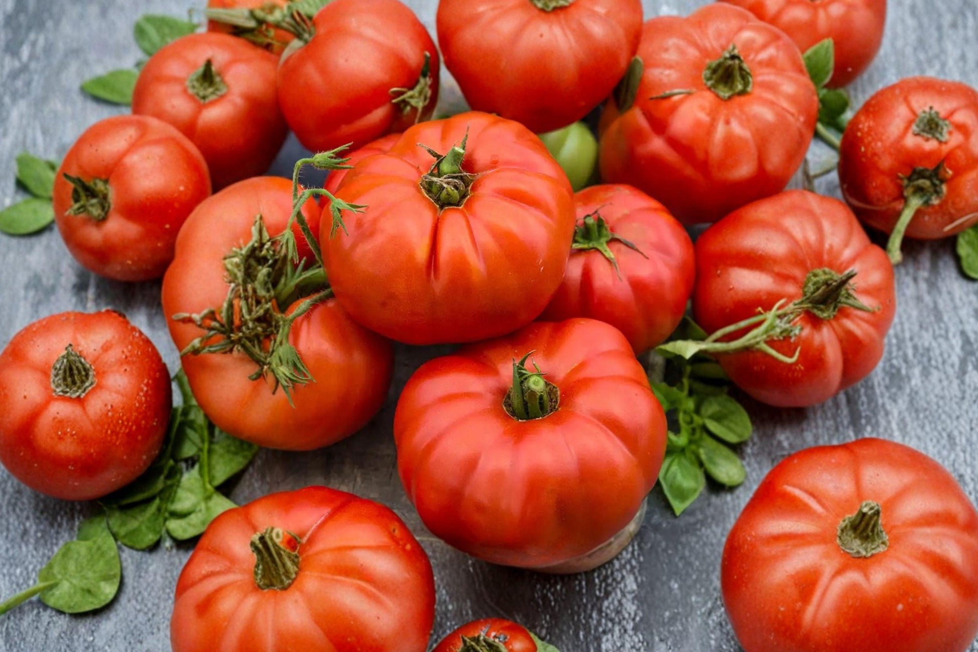 Heirloom Beefsteak Tomato Seeds – Large Juicy Red Slicing Fruit, Indeterminate, Non-GMO, 30+ Seeds