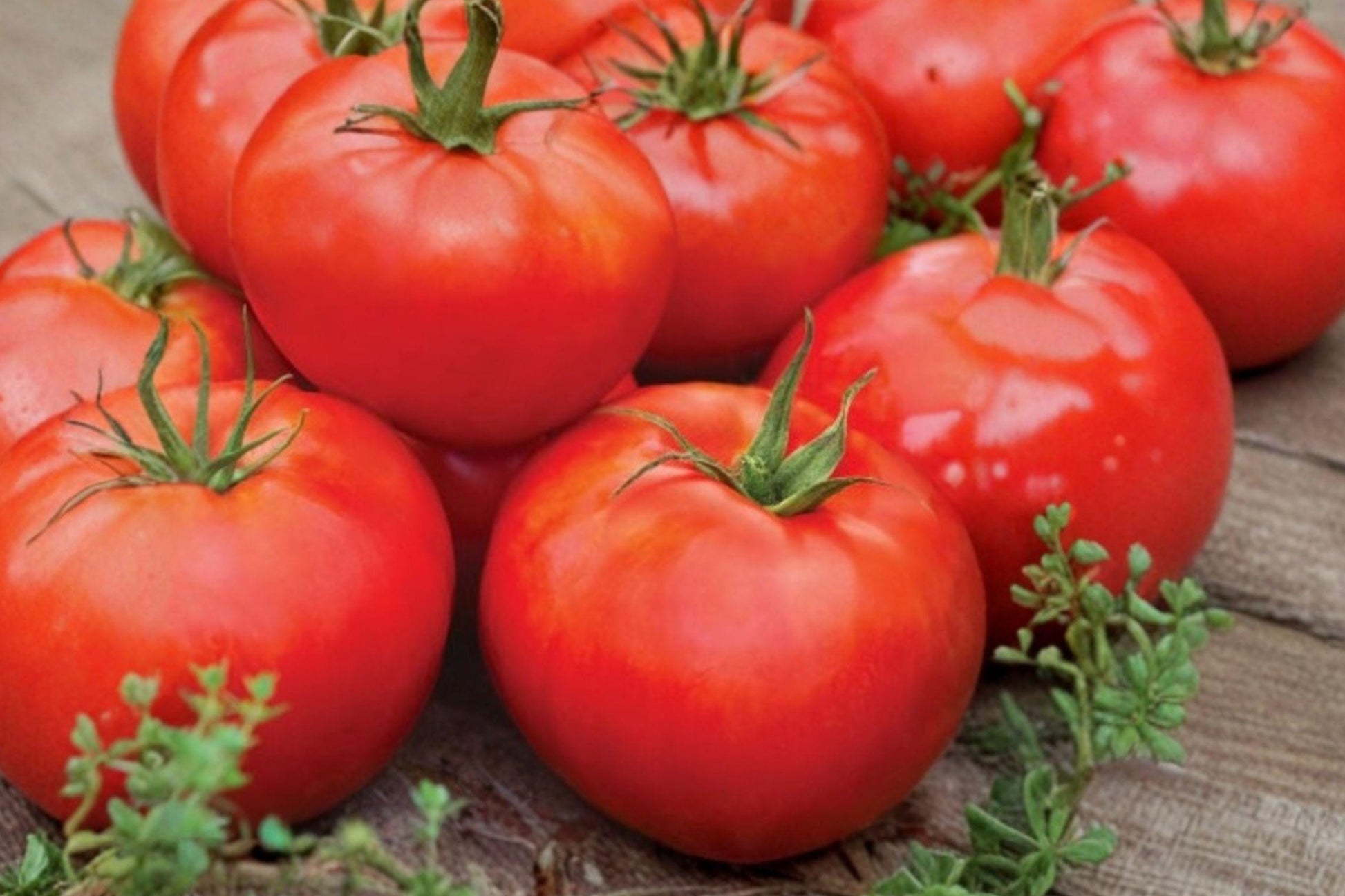 Big Boy Tomato Seeds, Large Red Slicing, Juicy Flavor, Indeterminate, Non-GMO, 120+ Seeds