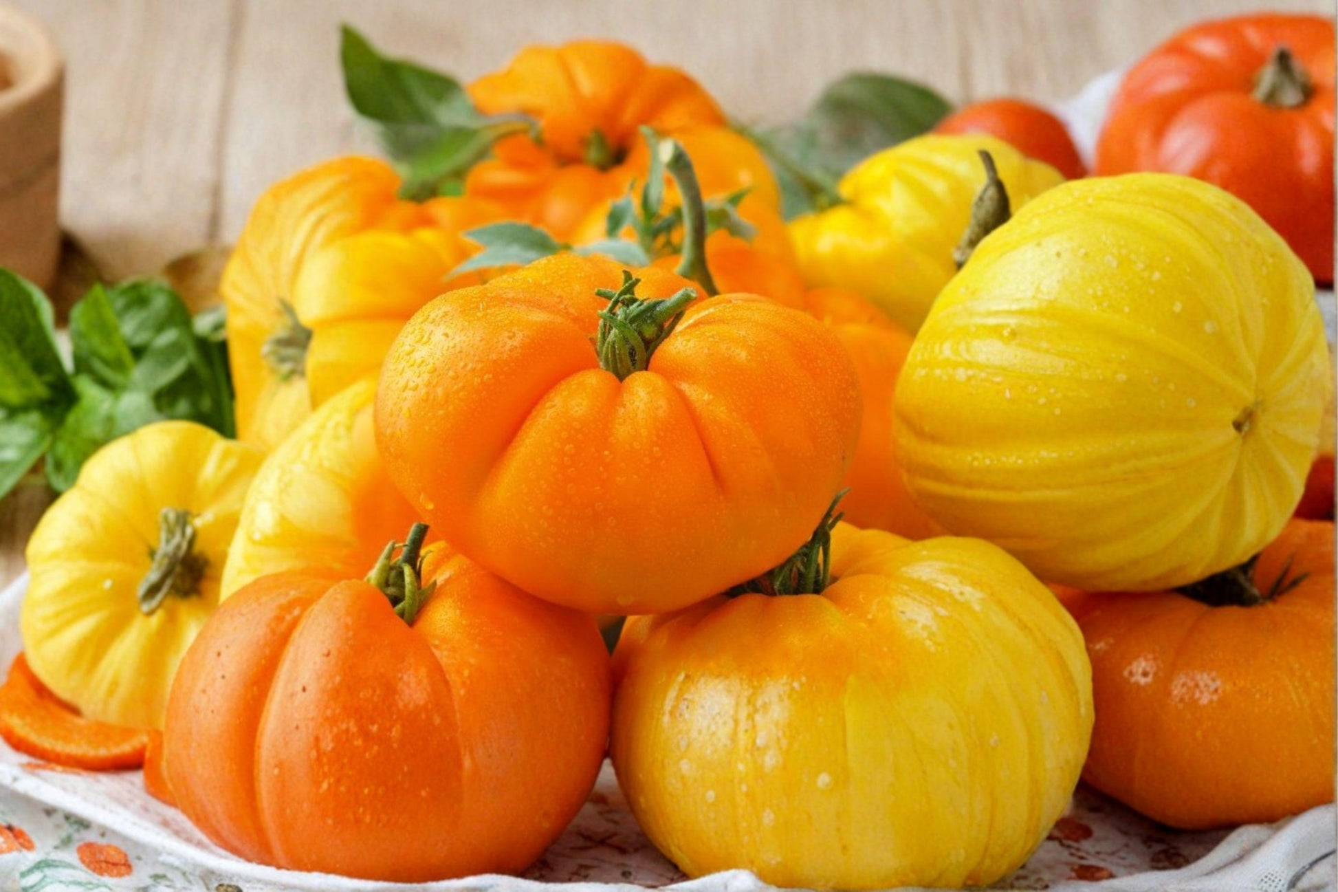 Chef's Choice Yellow Beefsteak Tomato Seeds – High-Yield, Sweet, Bright Yellow, Large Fruit, Solanum lycopersicum