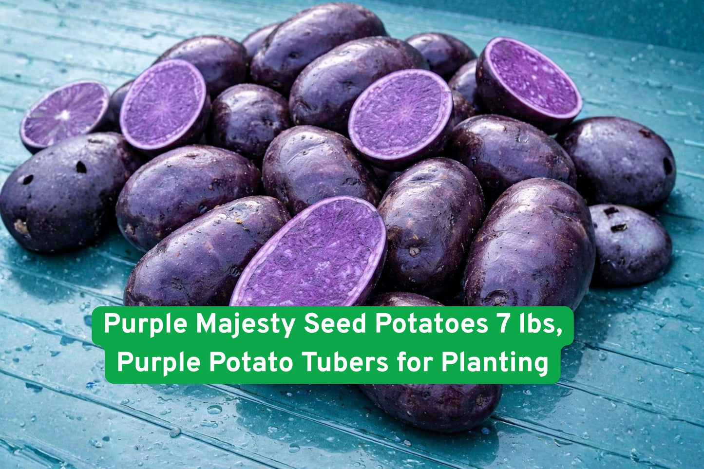Purple Majesty Seed Potatoes,Heirloom Purple Potatoes,Vegetable Seed Tubers,Organic Gardening Potatoes,Edible Landscaping Plants,Home Garden Vegetable,Purple Skin Potatoes,Nutritious Seed Potatoes,Easy Grow Seed Tubers,Backyard Farming Potatoes,Colorful Vegetable Seeds,High Yield Seed Potatoes,Healthy Meal Ingredient