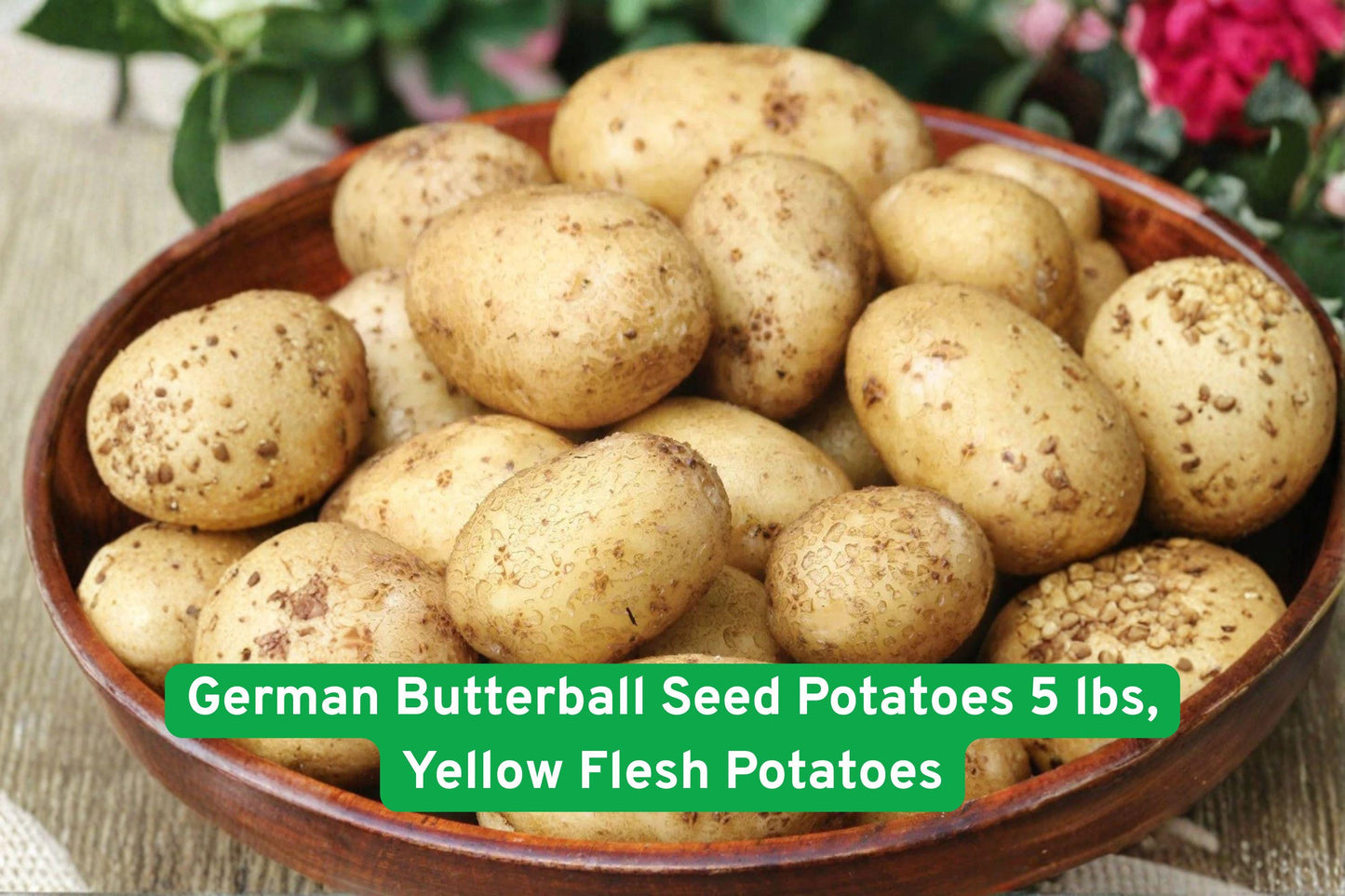 yellow potato seeds, heirloom seed potatoes, organic seed potatoes, buttery flavor potatoes, garden seed tubers, homegrown potato seeds, versatile cooking potatoes, yellow flesh seed potatoes, easy grow seed potatoes, high yield seed potatoes, root vegetable seeds, outdoor garden potatoes, beginner-friendly seed potatoes