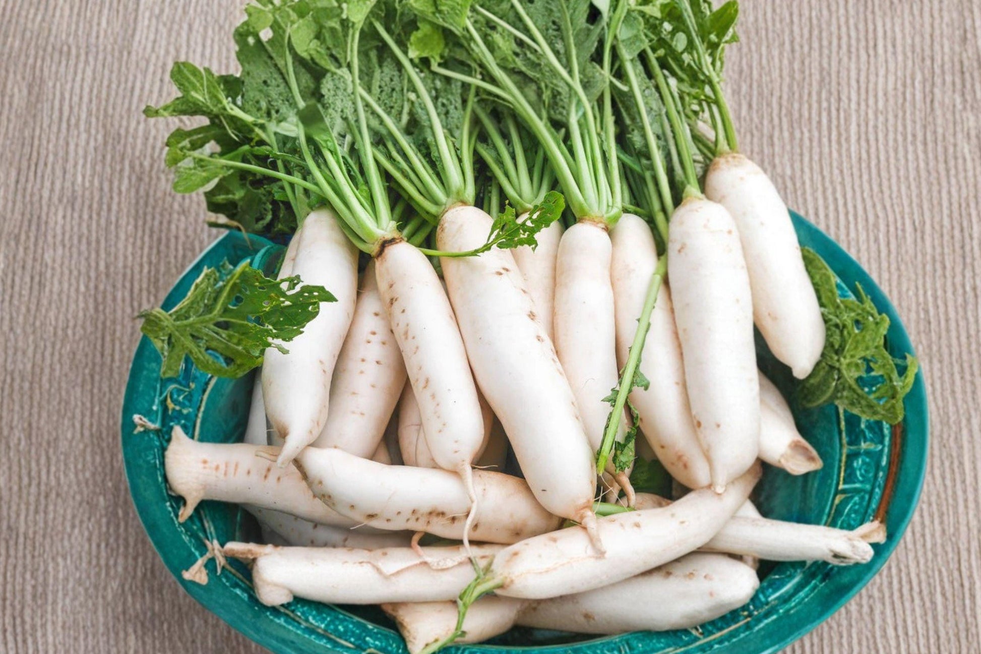 Organic White Icicle Radish Seeds – Heirloom, Fast Growing, Mild Flavor, Non-GMO, Cool Season, Salad Radishes