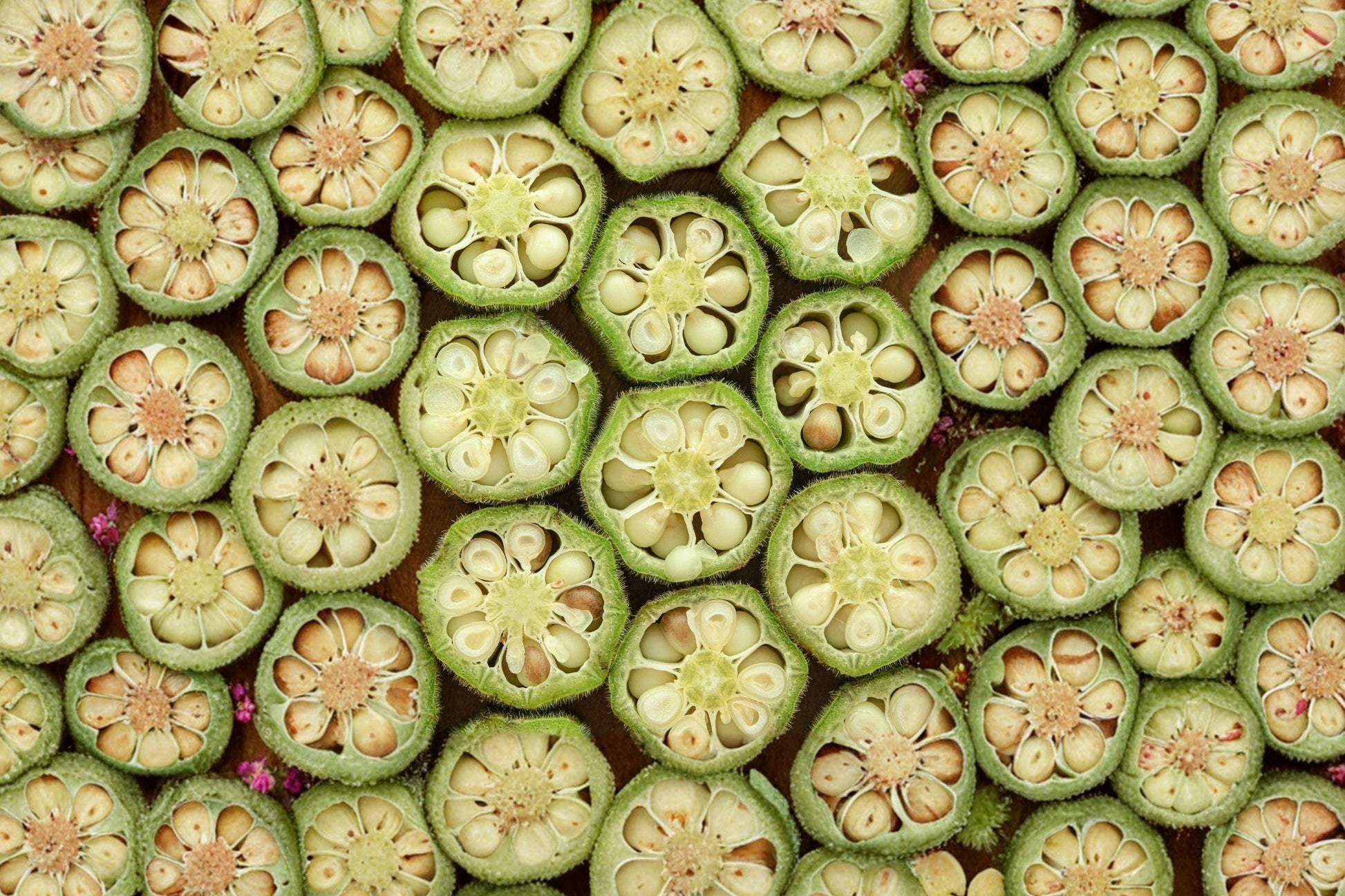 Emerald Okra Seeds Heirloom Non-GMO Spineless Pods High Yield Heat Tolerant Vegetables