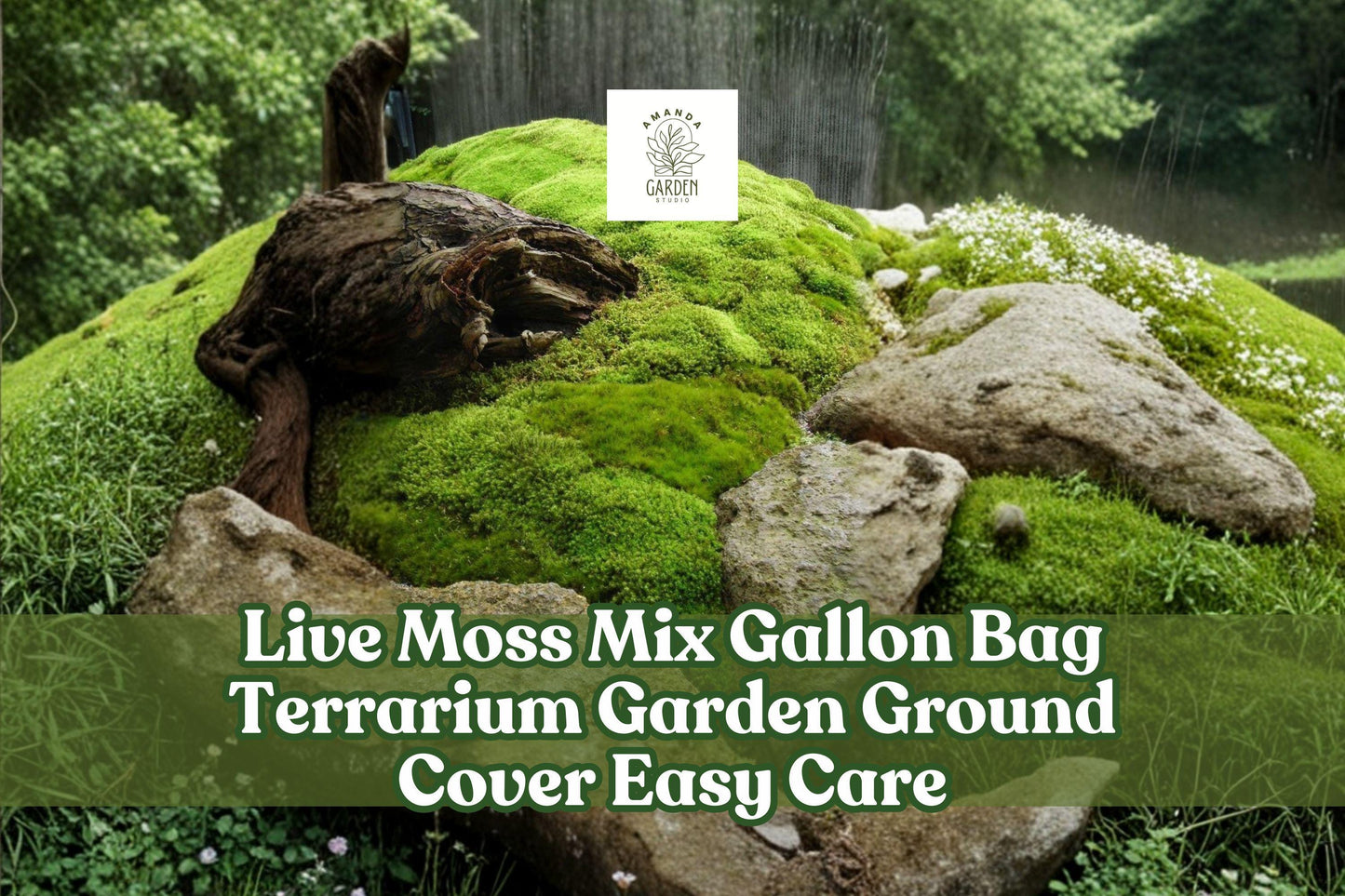 Live Moss Mix Gallon Bag - Assorted Green Varieties for Terrariums, Gardens & Ground Cover