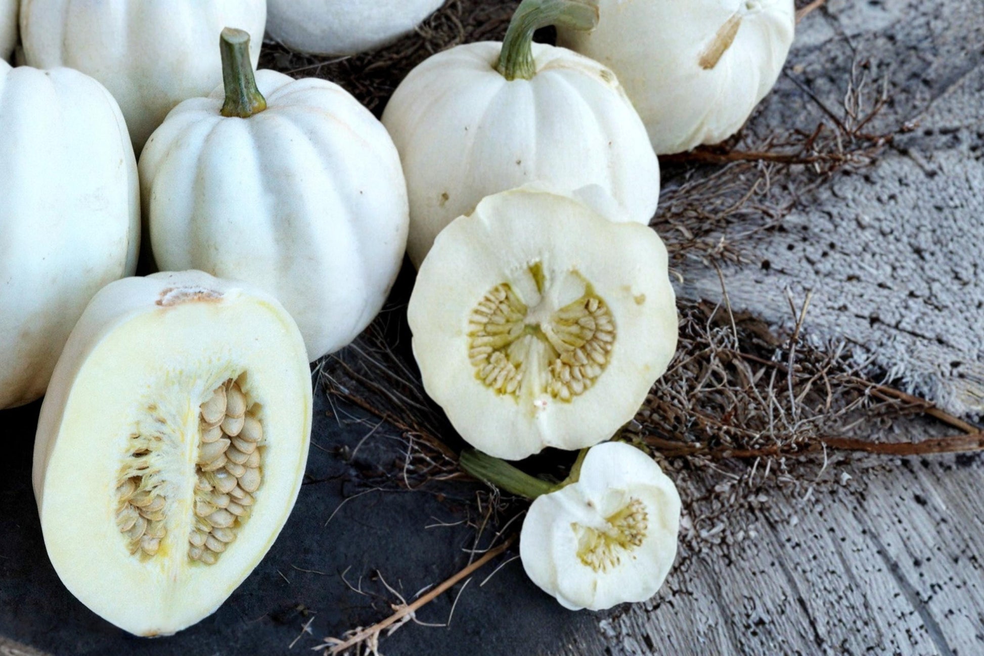 Mashed Potato Squash Seeds, Cucurbita pepo, White Winter Squash, Edible Garden Vegetable, Vining Plant, Fall Harvest