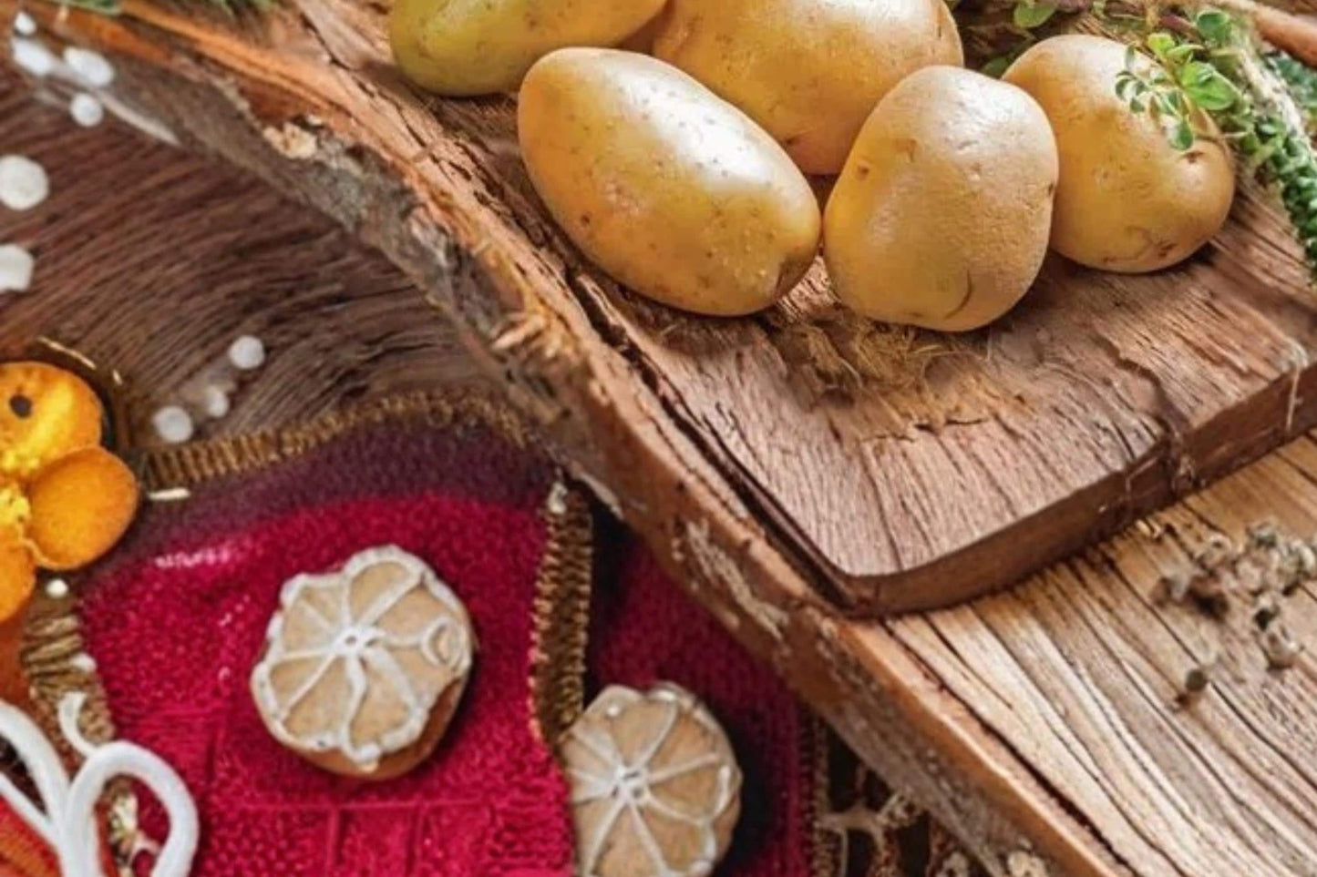 Kennebec Seed Potatoes 5 Pounds – Solanum tuberosum, Garden Vegetable, Tuber, Home Gardening, Reliable Yields