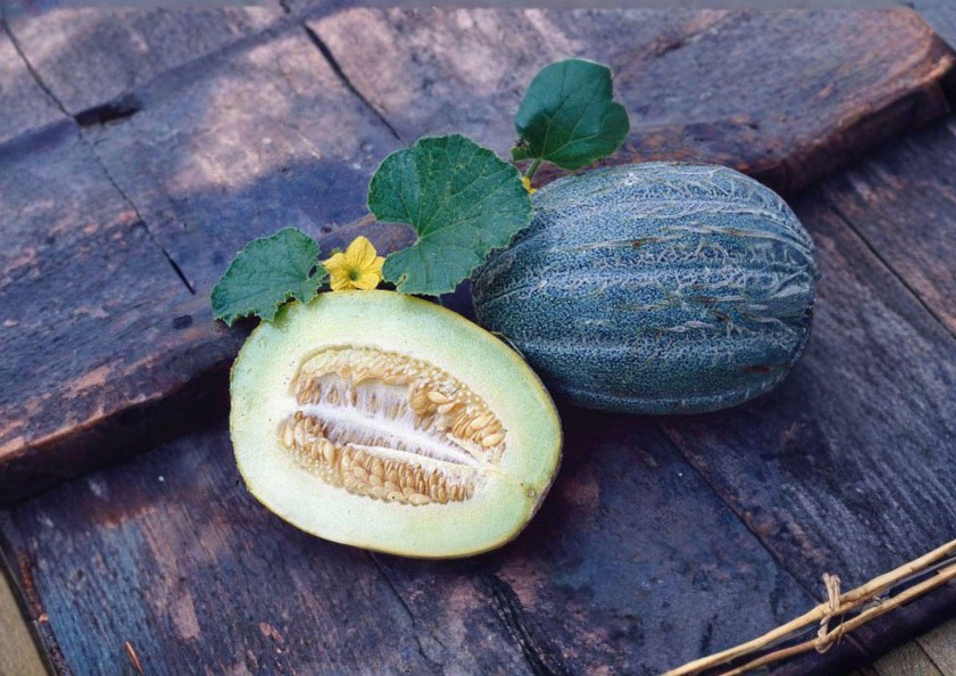 Early Valencia Winter Honeydew Melon Seeds – Heirloom Green Flesh Fruit for Garden Planting