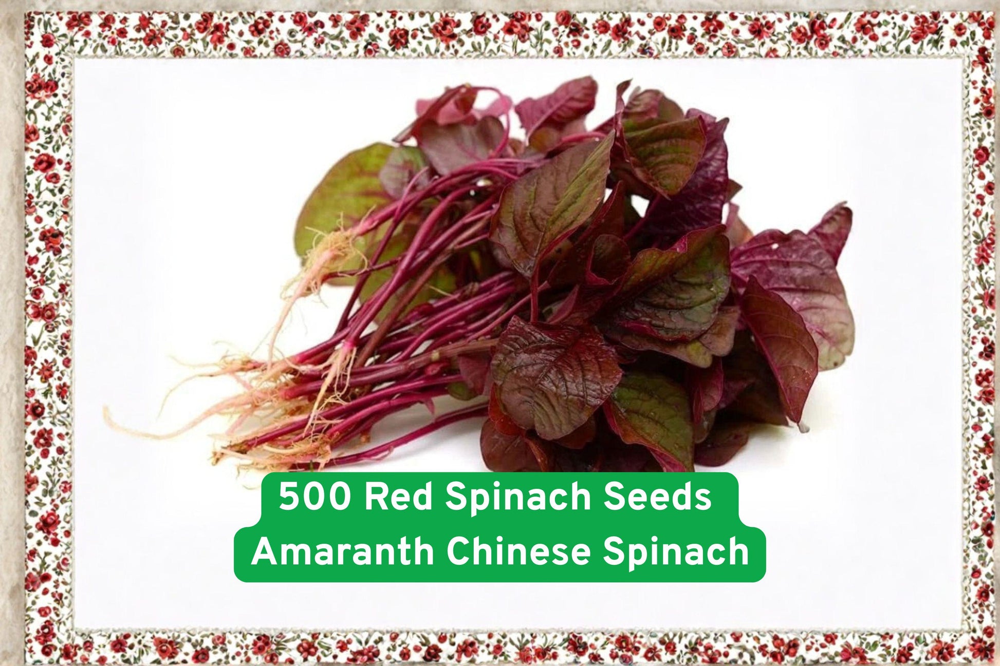 red spinach seeds, Chinese amaranth seeds, leafy green seeds, superfood vegetable, fast-growing seeds, edible garden seeds, ornamental edible plant, beginner gardening seeds, kids gardening project, organic vegetable seeds, nutritious leafy greens, red foliage plant, backyard farming seeds