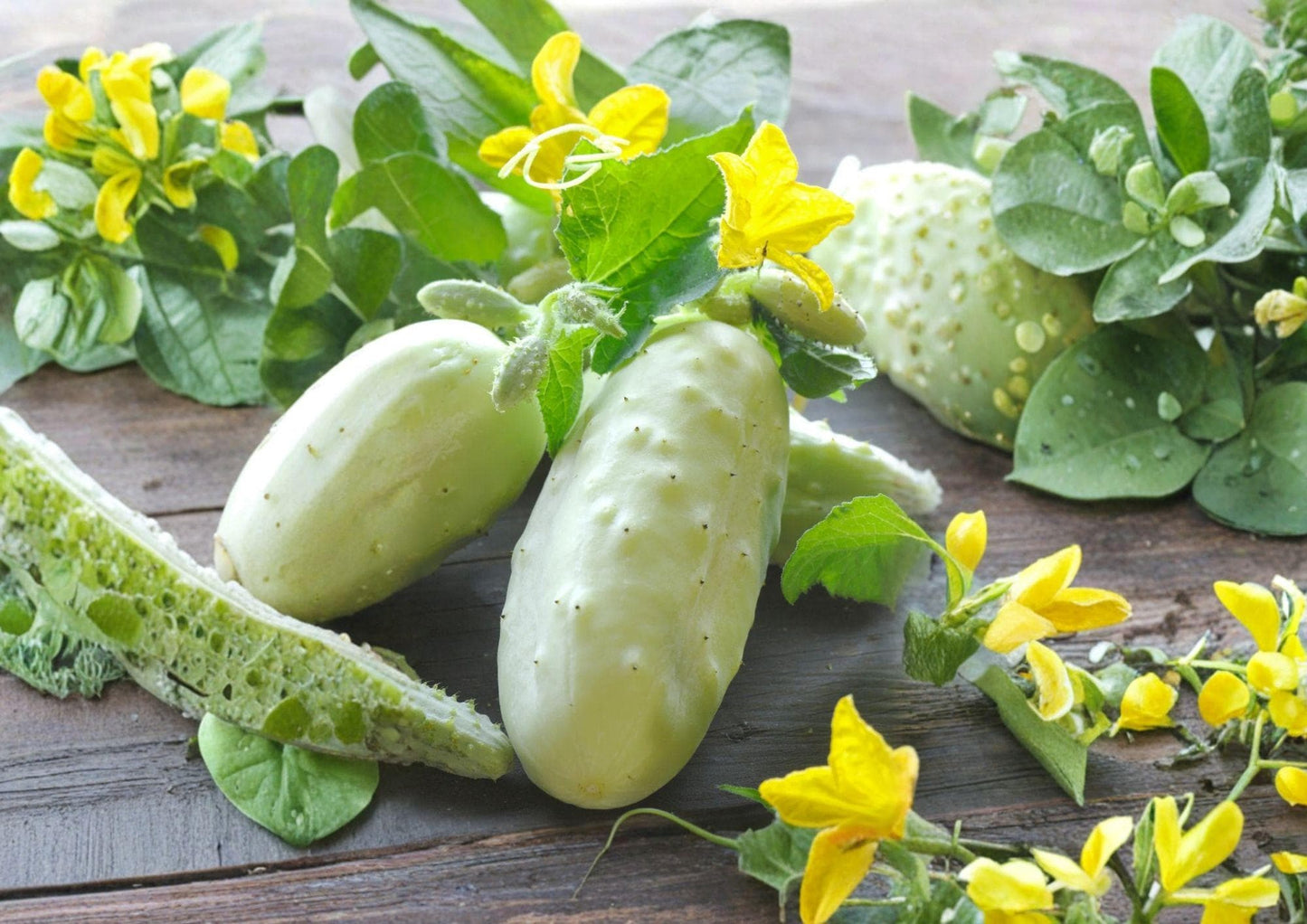 White Wonder Cucumber Seeds Heirloom Non-GMO, Pale White Crisp Vegetable Seeds for Garden Planting