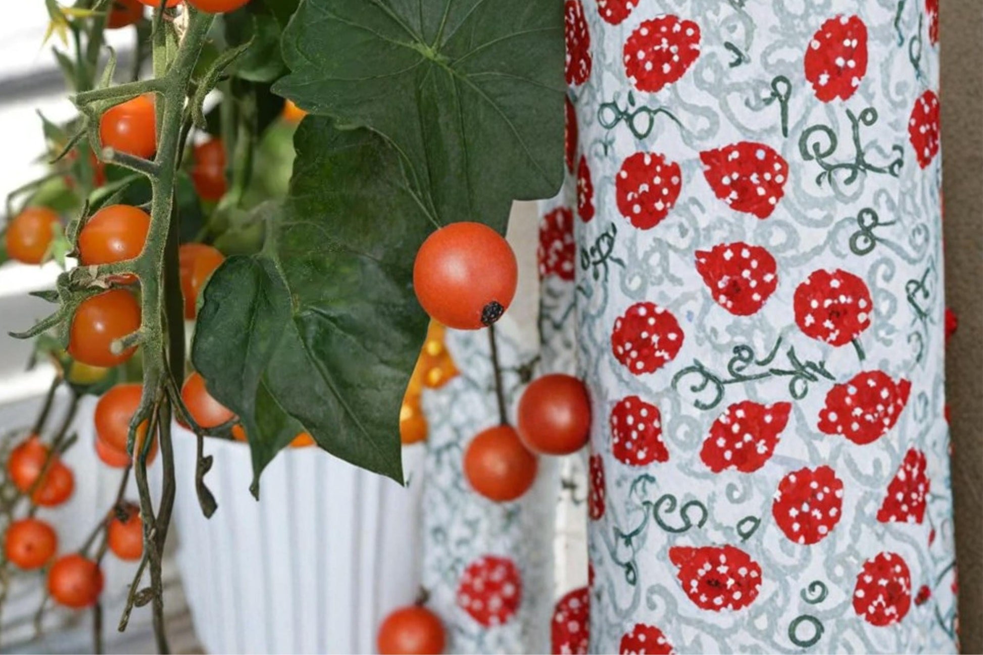 Sun Sugar Cherry Tomato Seeds – Solanum lycopersicum, Orange Small Cherry Tomato, Early Fruiting, Sweet Flavor, Container & Garden Plant