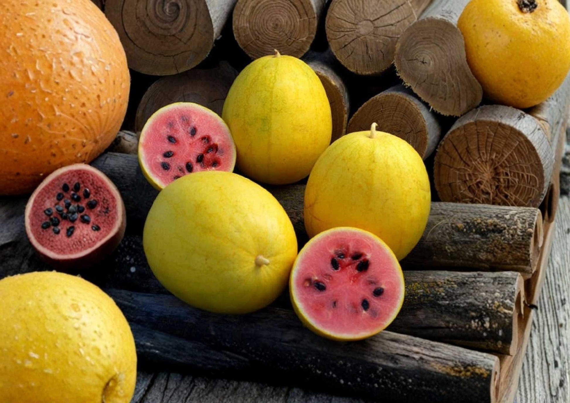 Golden Midget Watermelon Seeds - Heirloom Organic Non-GMO Fruit Seeds for Garden Planting, Mini Yellow Skin, Sweet Early Variety