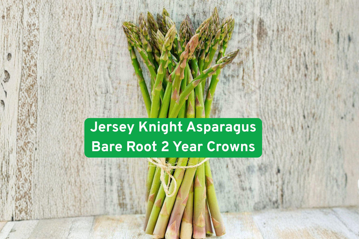 Asparagus crowns, Jersey Knight asparagus, perennial vegetable, edible garden plant, vegetable seedling, bare root asparagus, green spear plant, backyard farming, organic gardening, beginner-friendly plant, long-lasting crop, vegetable garden starter, spring harvest plant