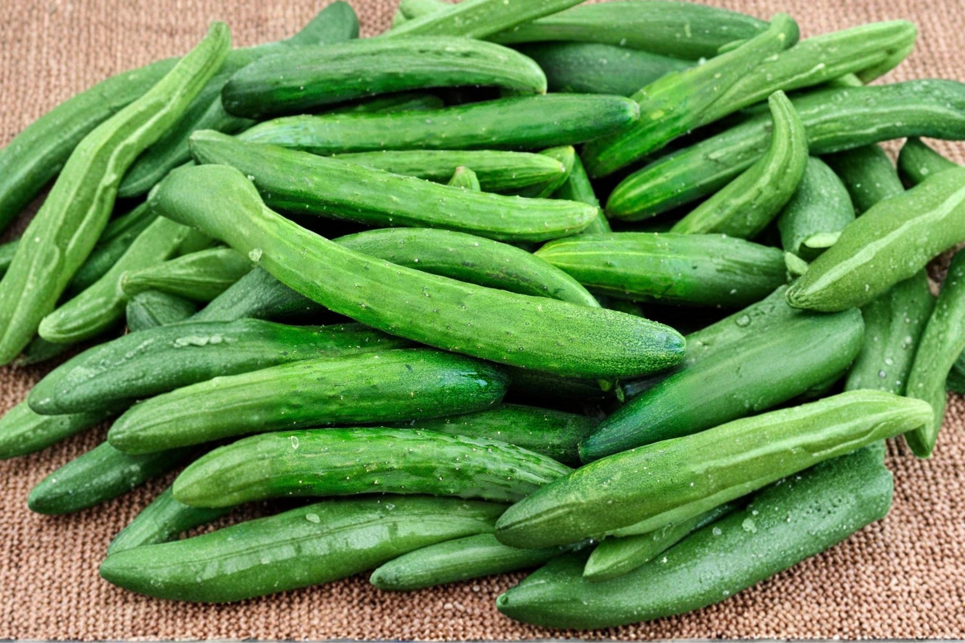 Heirloom Non-GMO Tasty Green Cucumber Seeds – High Yield Slicing Variety for Garden, Salad, and Fresh Eating