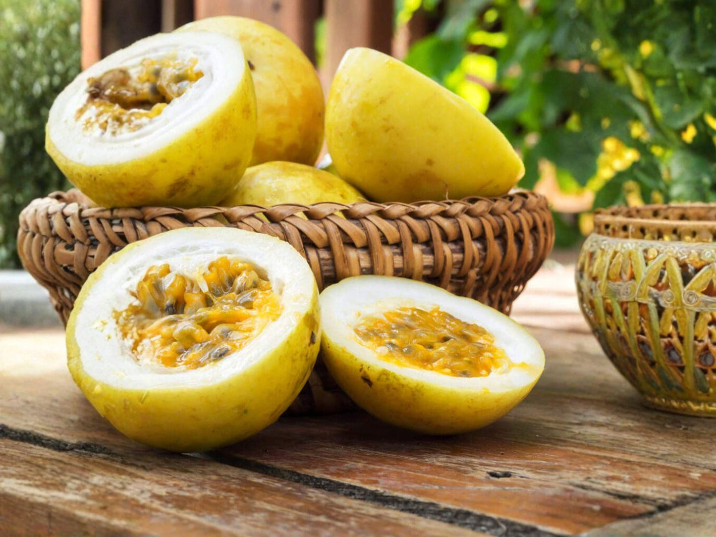 Sweet Sunrise Passion Fruit Plant – Self-Fertile Climbing Vine Starter Passiflora edulis for Home Garden