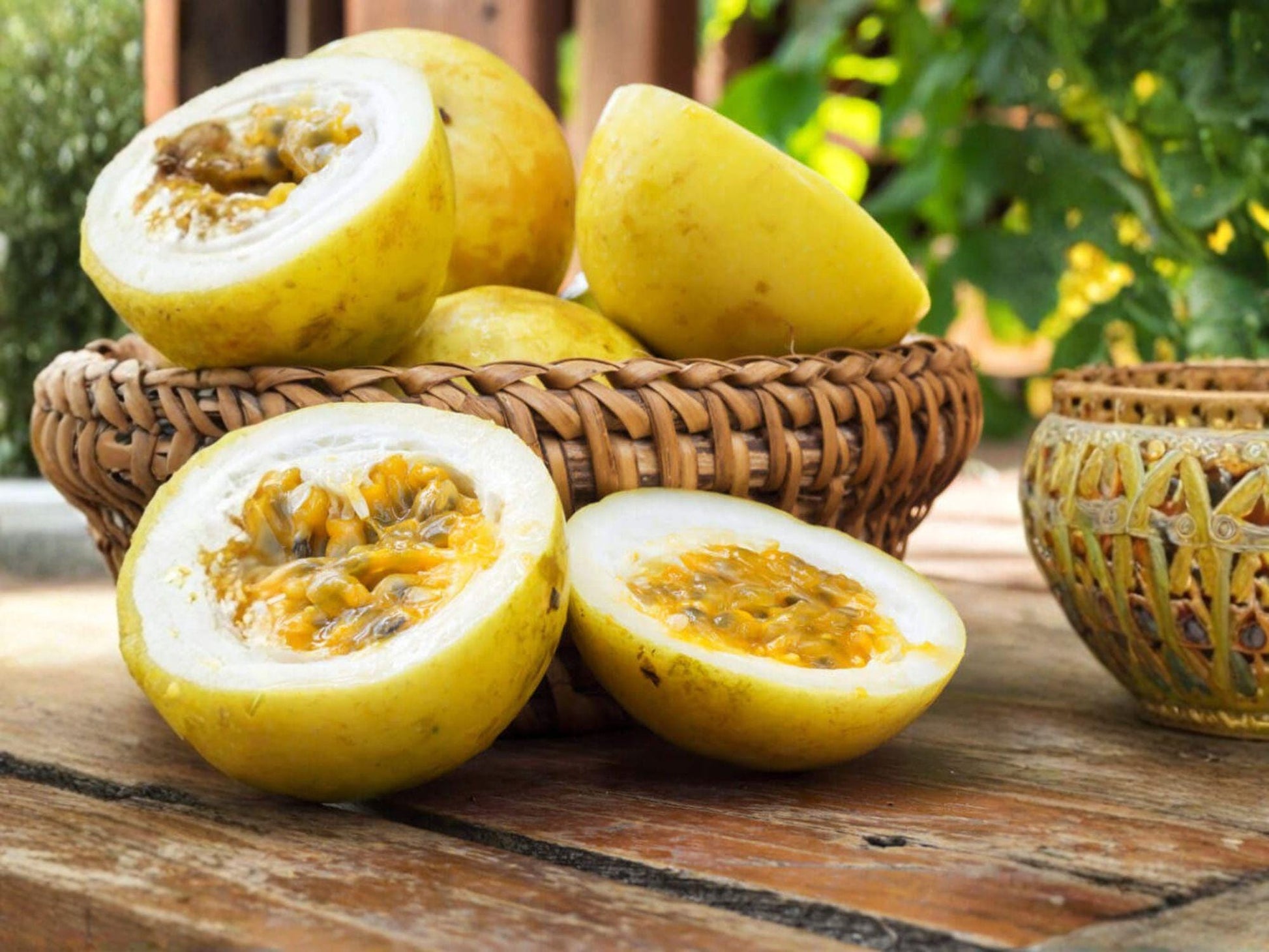 Sweet Sunrise Passion Fruit Plant – Self-Fertile Climbing Vine Starter Passiflora edulis for Home Garden