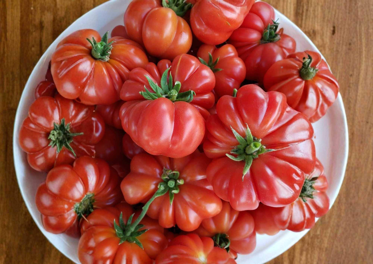 Abe Lincoln Tomato Seeds - Heirloom Large Red Beefsteak Vegetable Seeds for Garden Planting, Rich Flavor, High Yield