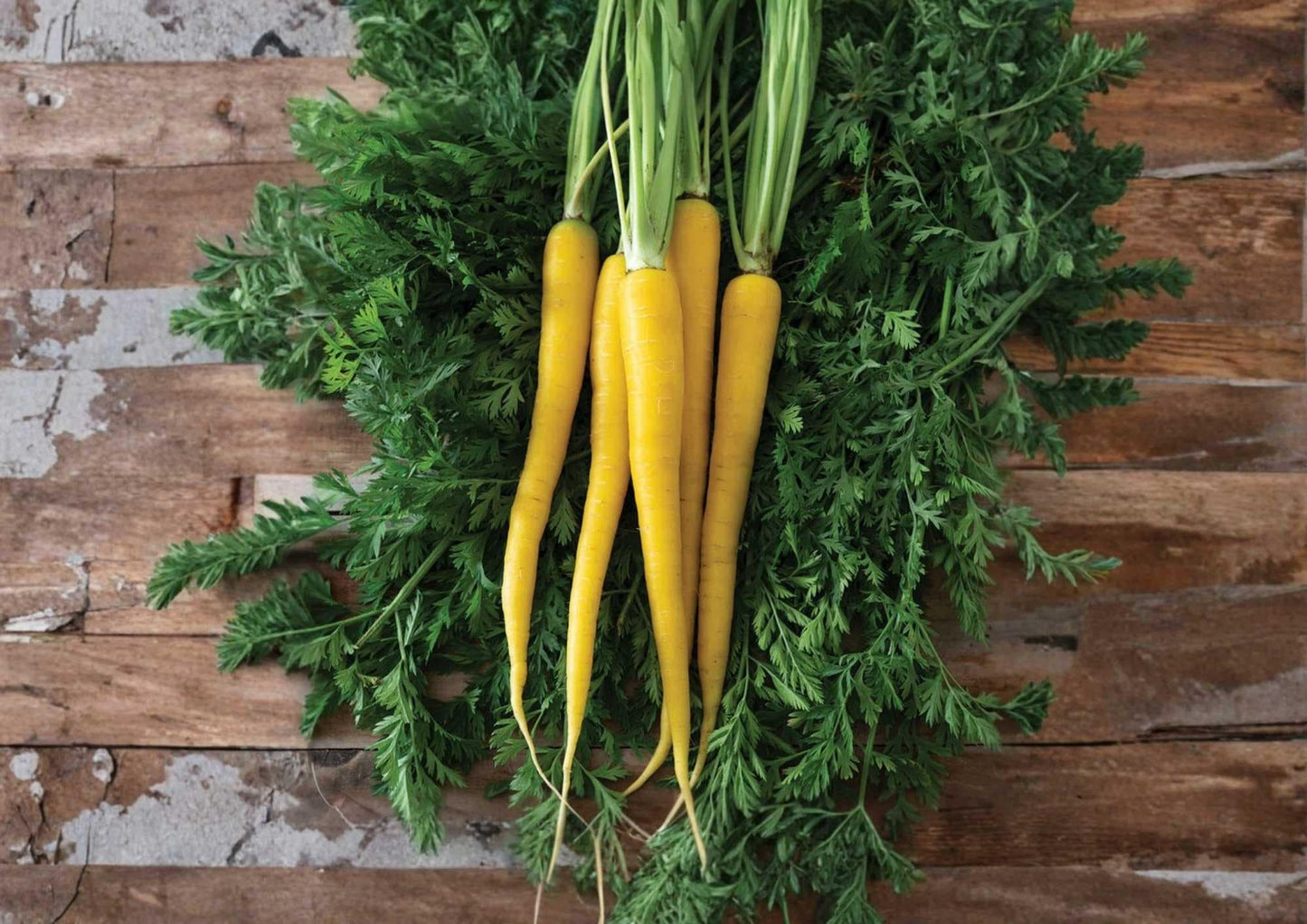 Yellow Carrot Seeds – Heirloom, Non-GMO, High Yield, Sweet Golden Roots for Garden Planting