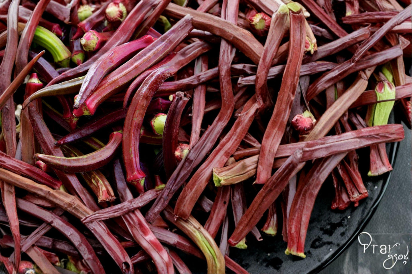 Red Burgundy Okra Seeds – Heirloom, Non-GMO, High Yield, Deep Red Pods, Garden Vegetable, Abelmoschus esculentus