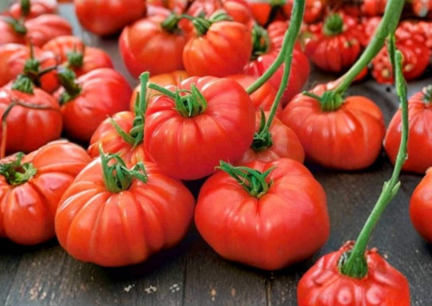 Jersey Beefsteak Tomato Seeds Heirloom Non-GMO Vegetable Seeds for Garden, Large Red Juicy Slicing Tomatoes, Solanum lycopersicum