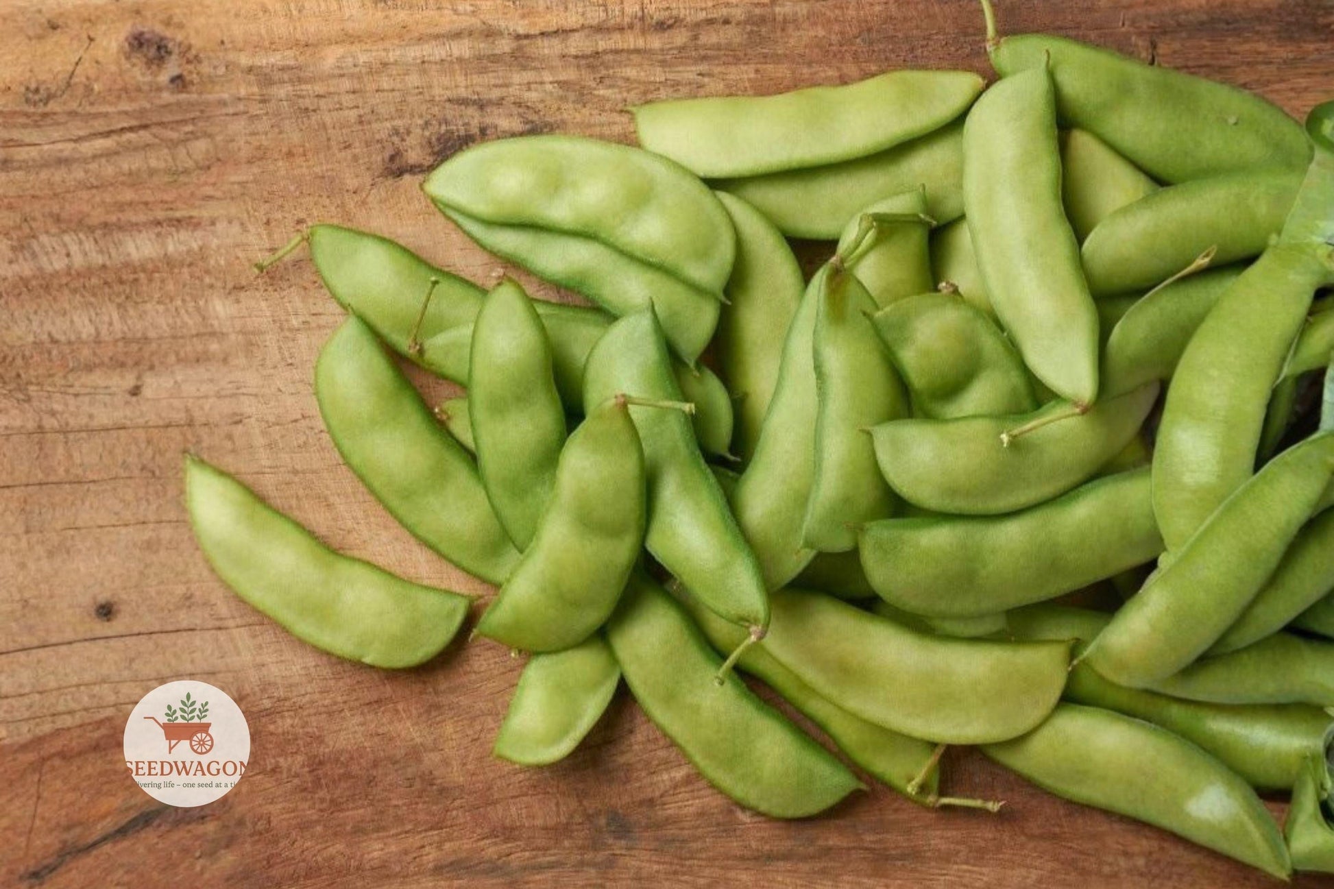 Henderson Bush Lima Seeds, Heirloom Vegetable, Non-GMO Seeds, Easy Grow Beans, Compact Garden Beans, Warm Season Legumes, Edible Garden Seeds, Container Planting Beans, Early Yield Beans, Tender Cream Beans, Small Garden Legumes, Home Cooking Beans, Vegetable Seed Pack