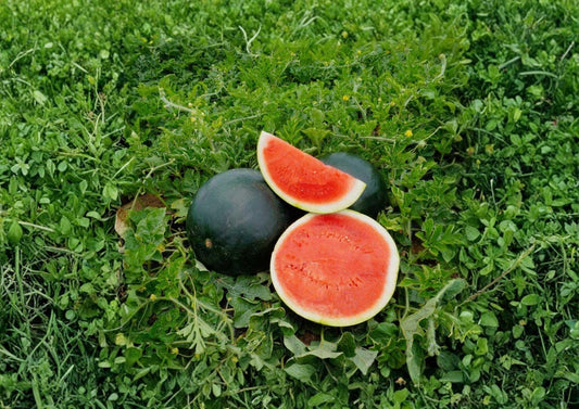 10 Moon and Stars Red Watermelon Seeds - Heirloom Non-GMO Vegetable Seeds for Garden Planting, Citrullus lanatus