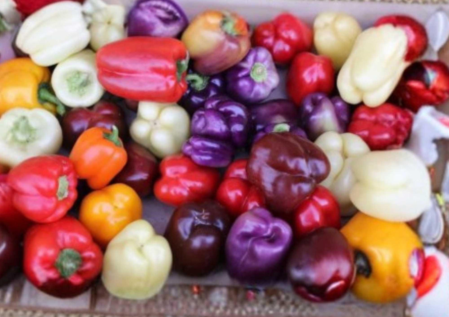 Sweet and Spicy Pepper Seeds Mix, Non-GMO Vegetable Seeds for Garden, Bell & Hot Peppers, Colorful High-Yield Variety