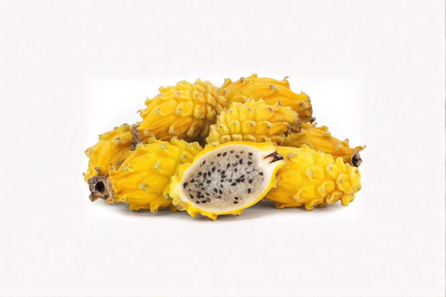 Yellow Dragon Fruit Plant – Rooted Selenicereus megalanthus Climbing Cactus with Edible Yellow Fruit