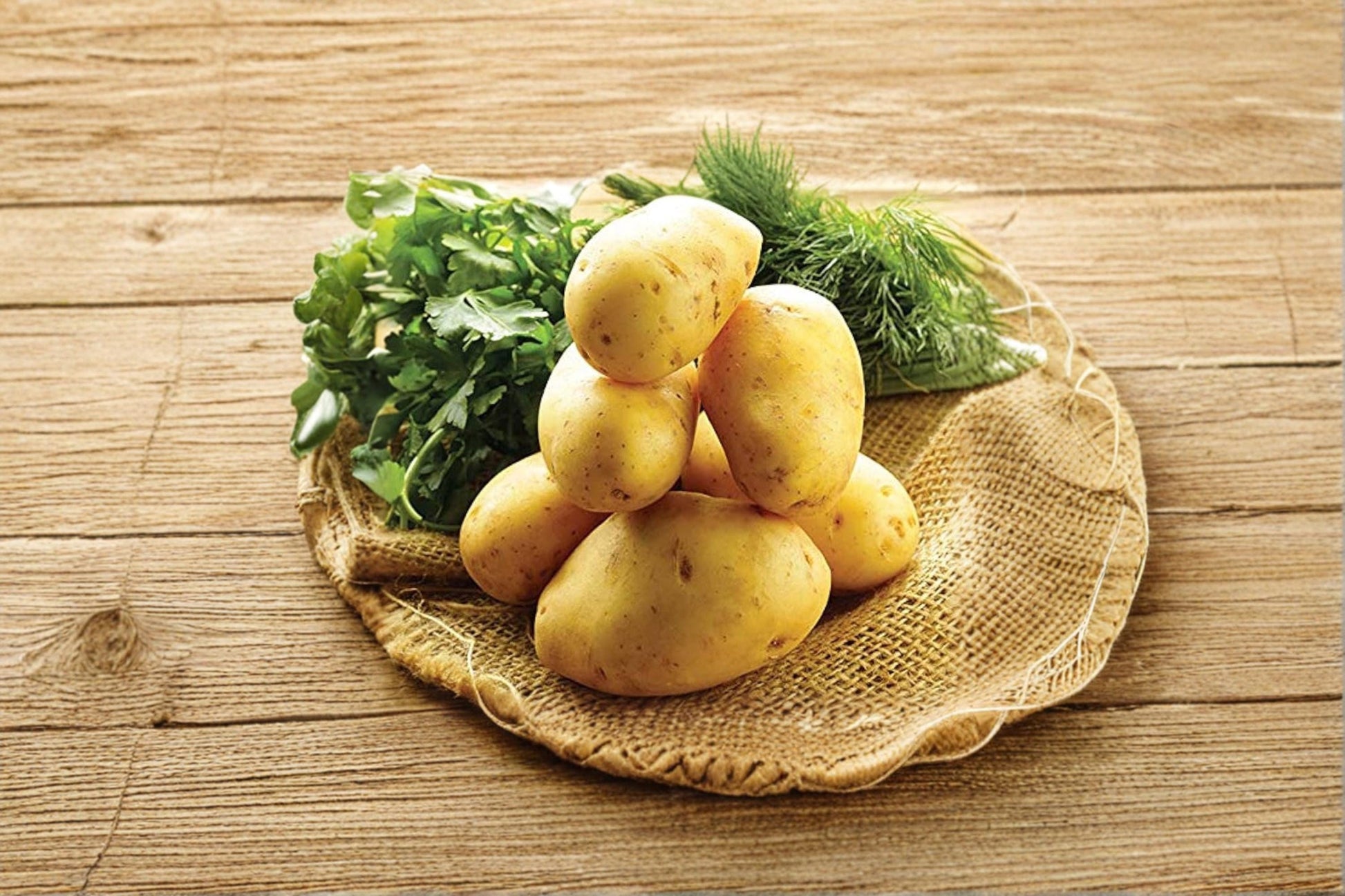 German Butterball Potato Seed Tubers – 3 Pounds, Heirloom Solanum tuberosum, Yellow Flesh, Garden Plant, Edible Root Crop