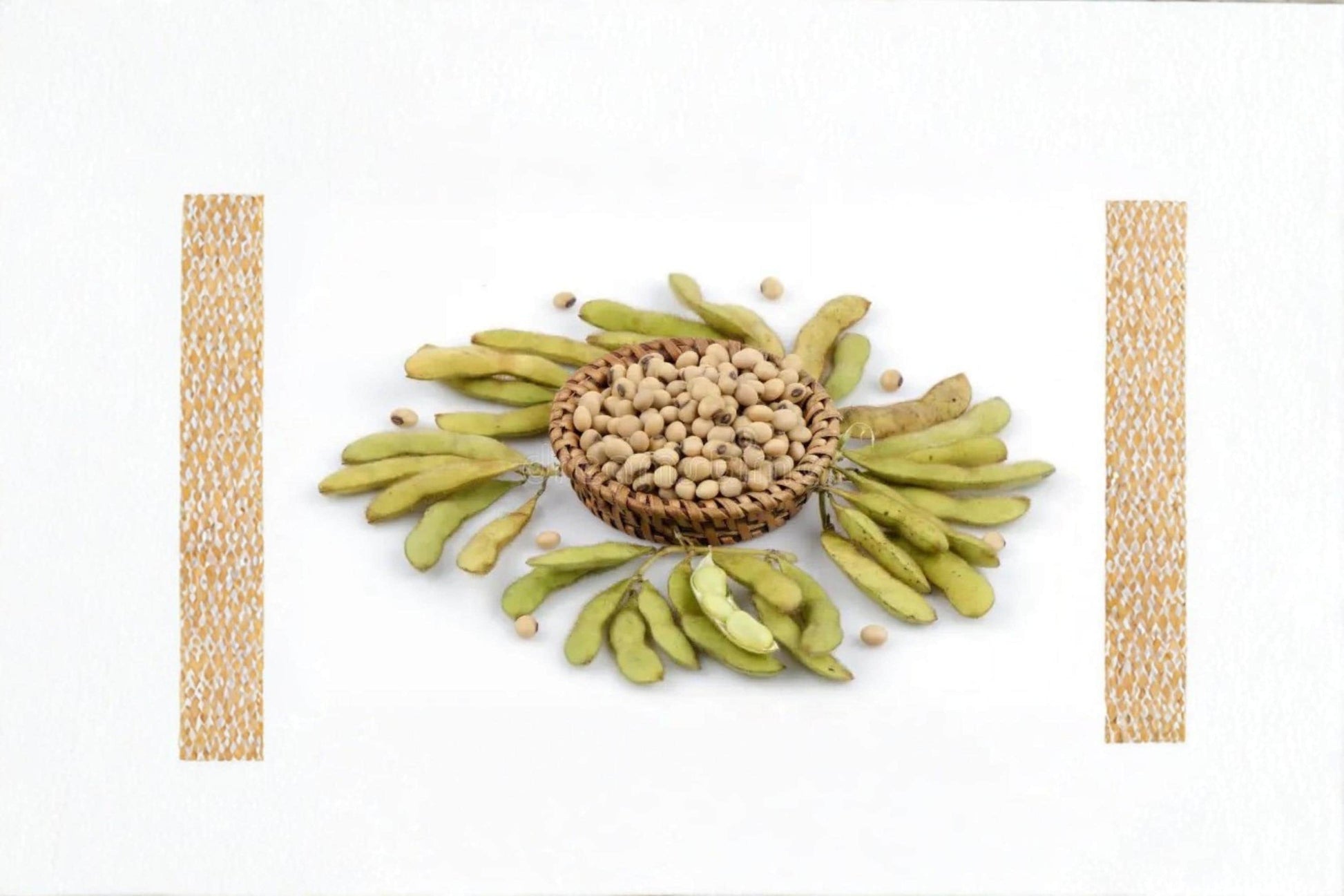 Soybean Meal 2, Glycine max, Soil Conditioner & Animal Feed, Organic Fertilizer, High-Protein Agricultural Byproduct