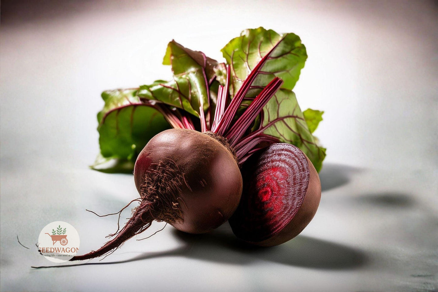 beet seeds,Detroit Dark Red,heirloom vegetable,non-GMO seeds,root vegetable seeds,sweet beet roots,edible greens seeds,cool season garden,vegetable seed pack,home garden beets,high yield beet seeds,container gardening seeds,organic beet seeds
