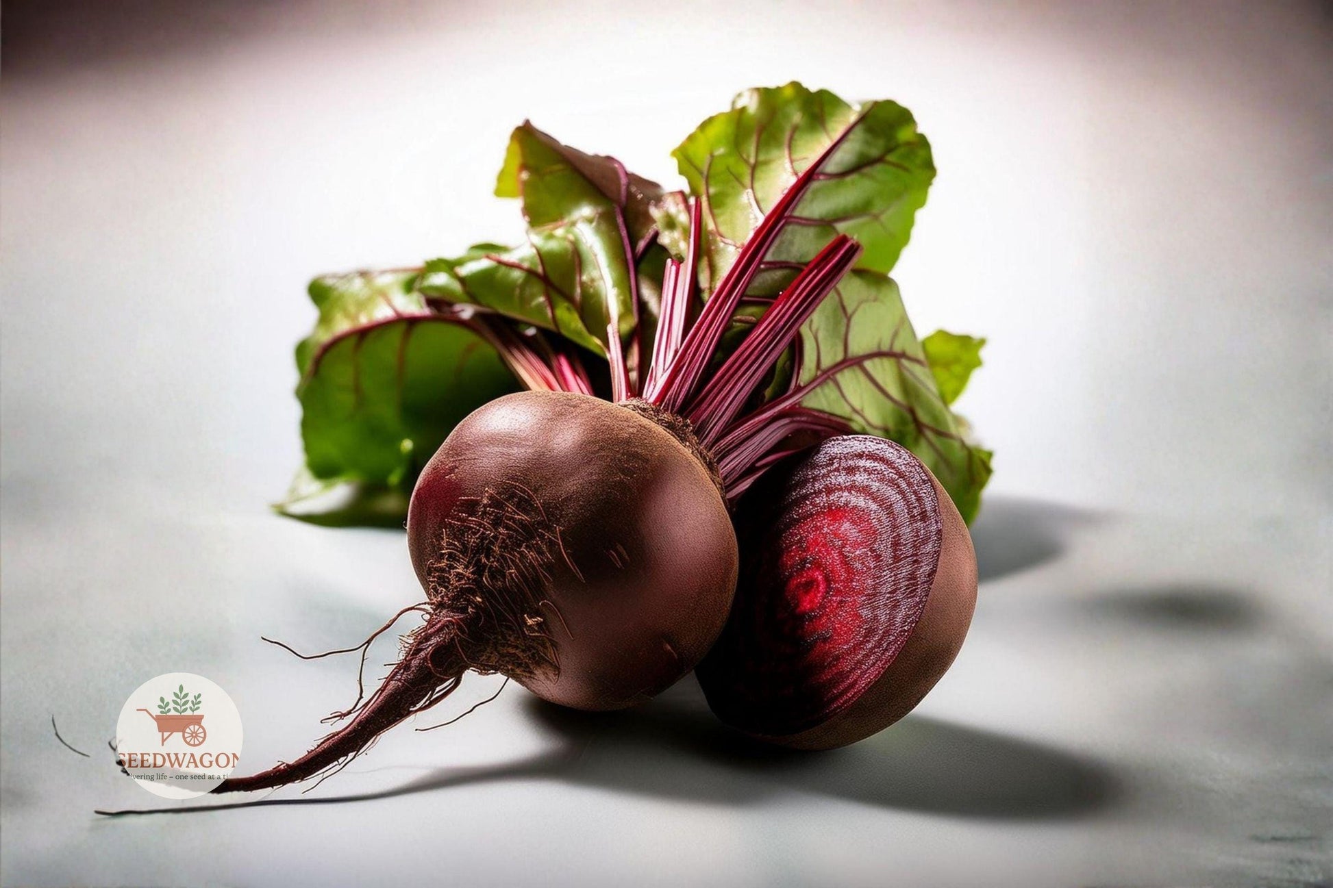 beet seeds,Detroit Dark Red,heirloom vegetable,non-GMO seeds,root vegetable seeds,sweet beet roots,edible greens seeds,cool season garden,vegetable seed pack,home garden beets,high yield beet seeds,container gardening seeds,organic beet seeds