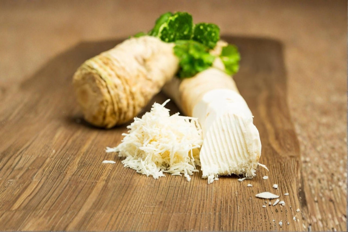 Horseradish Root Crown – Armoracia rusticana – Edible Perennial Vegetable for Garden Planting