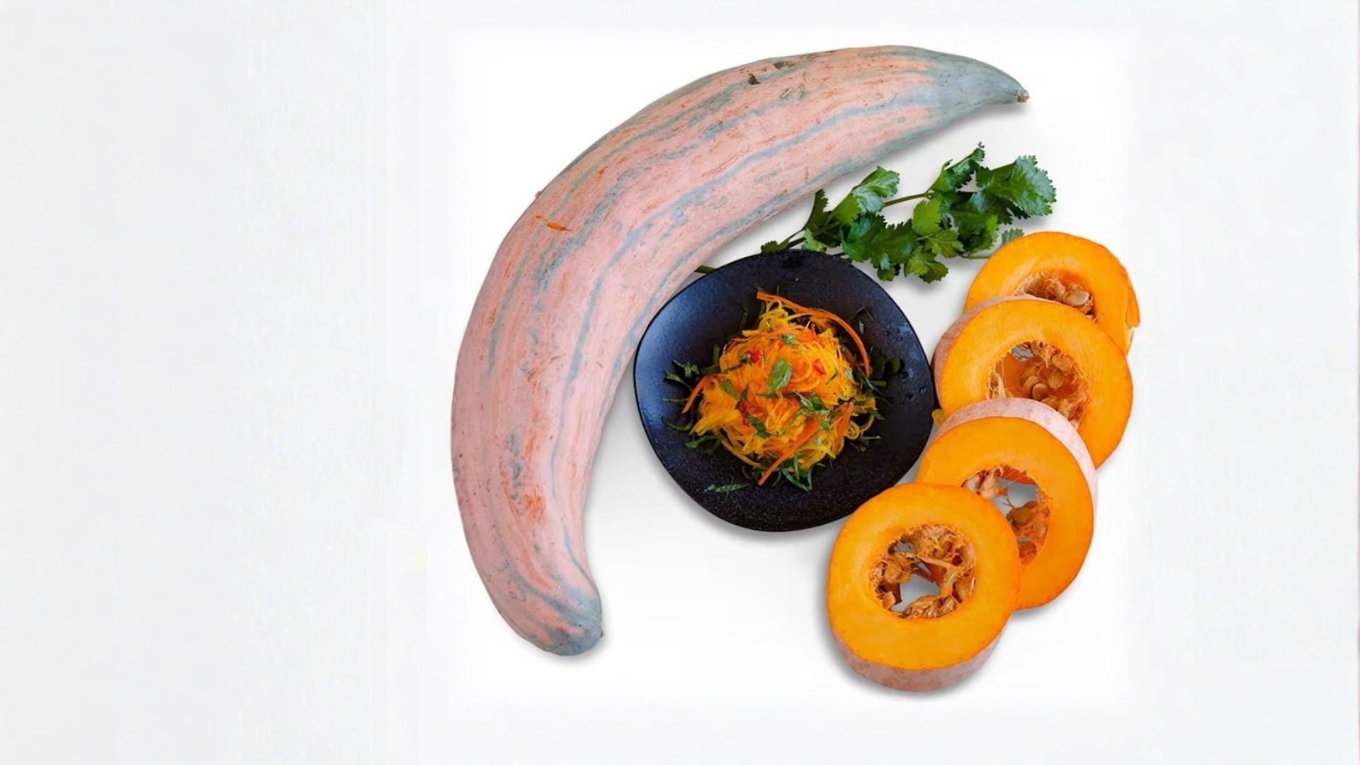 North Georgia Candy Roaster Seeds – Heirloom Cucurbita maxima Storage Squash for Home Garden