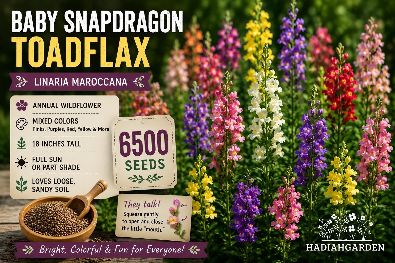 Baby Snapdragon Toadflax Seeds – Linaria maroccana, Wildflower, Mixed Colors, 6500 Seeds for Borders & Gardens